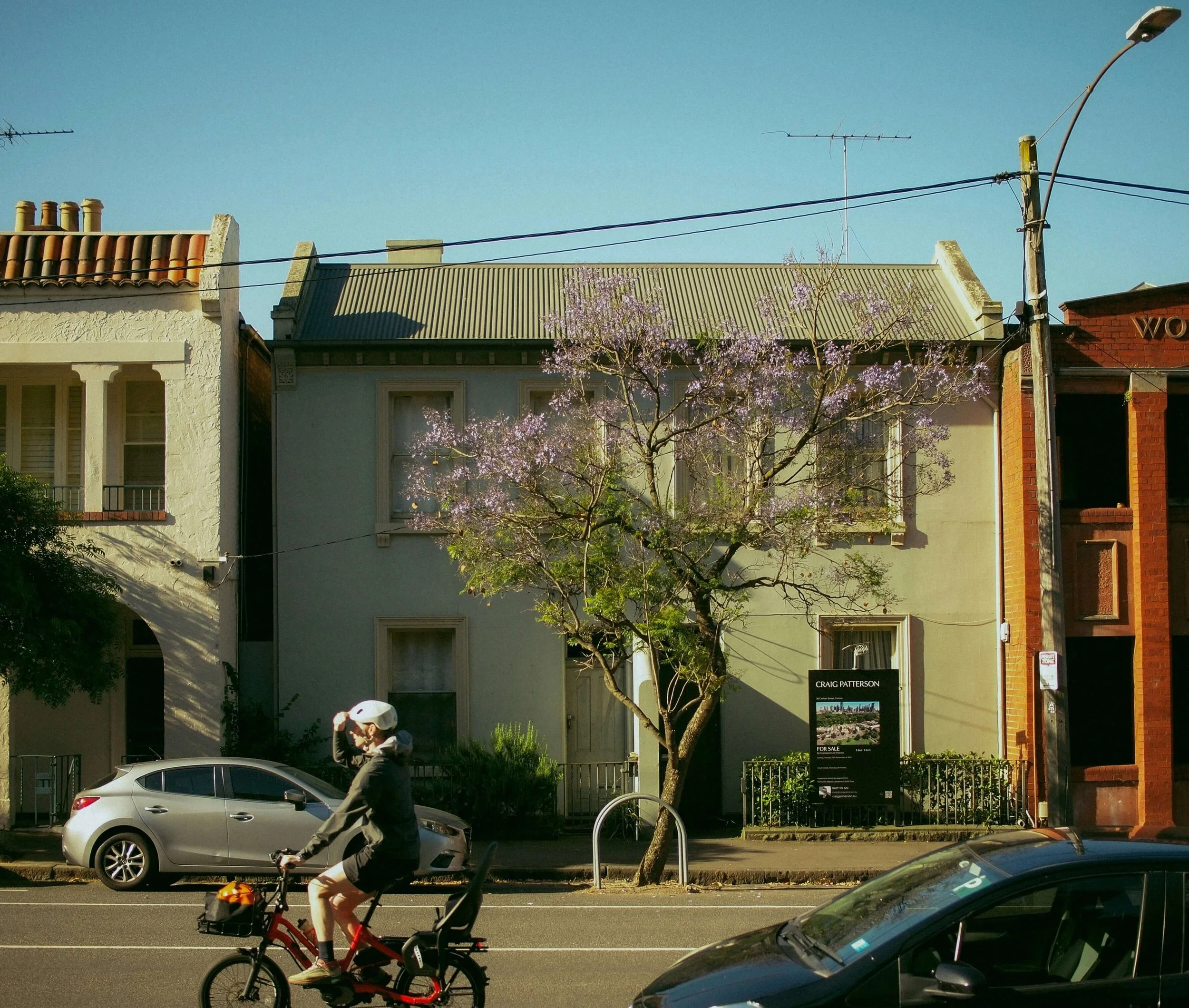 Street scene with a person riding a red bicycle and a dog, cars parked along the sidewalk, residential buildings, a tree with purple flowers, and a clear blue sky.