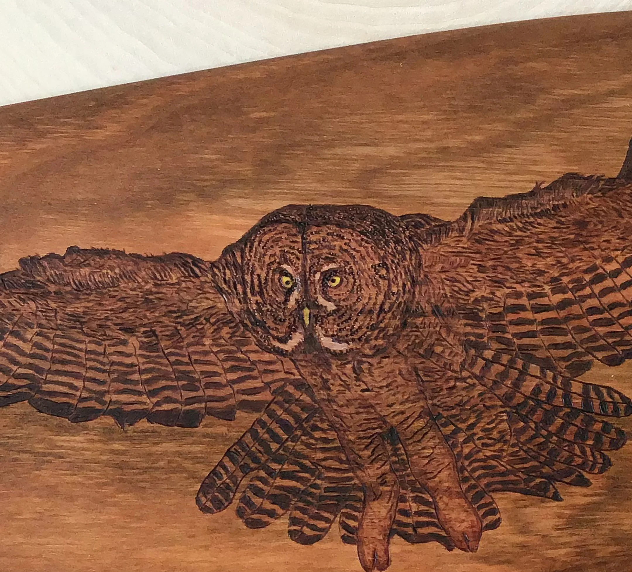 great grey owl on wooden paddle