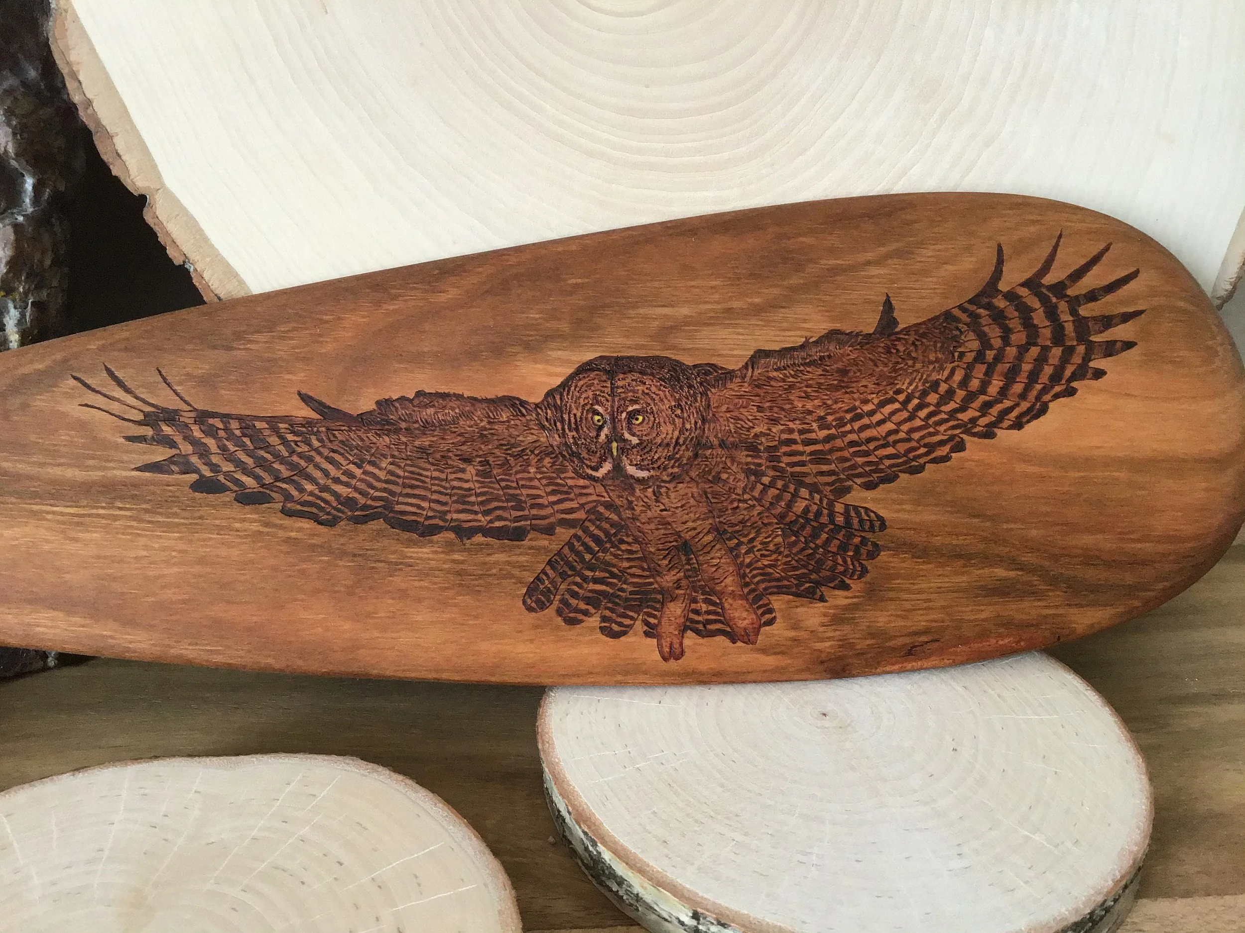 great grey owl on wooden paddle