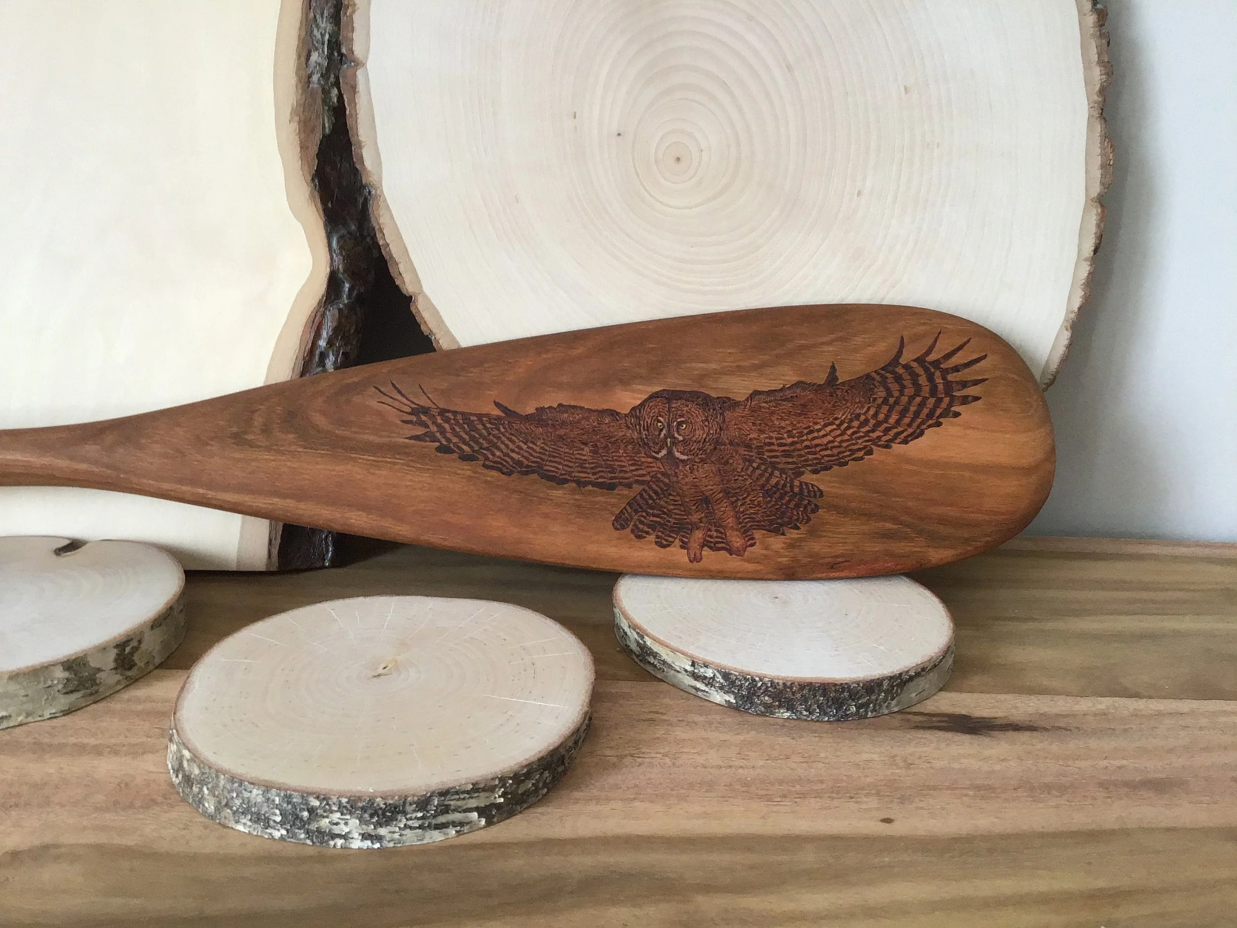 great grey owl on wooden paddle