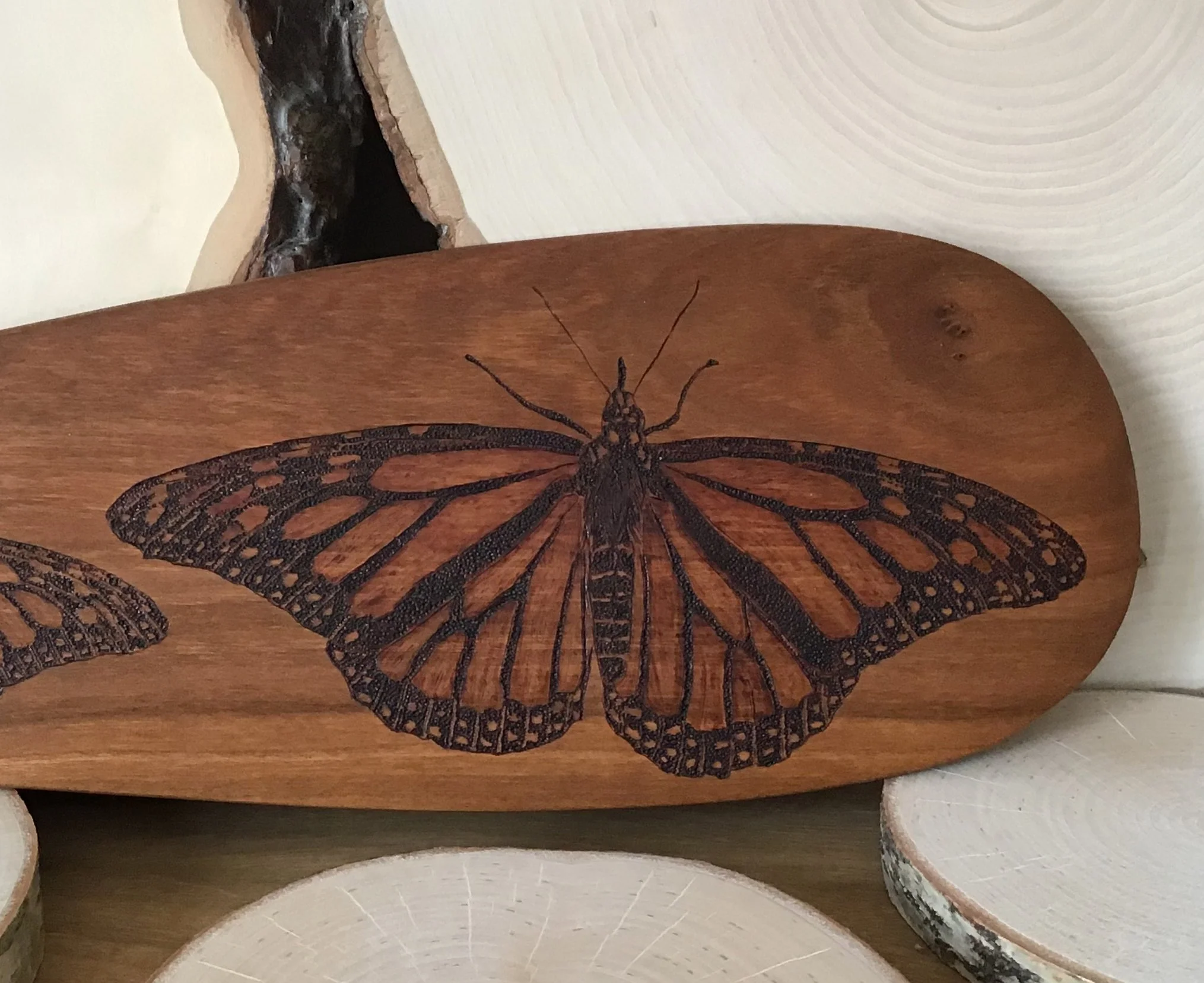 monarch butterfly on wooden paddle