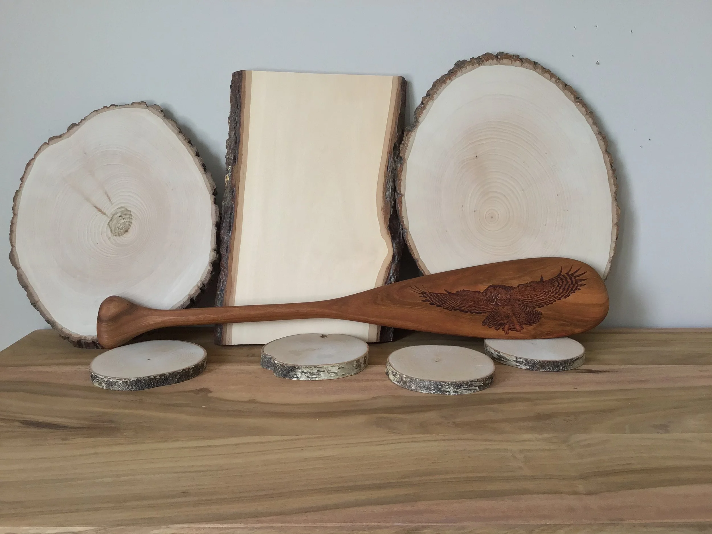 great grey owl on wooden paddle