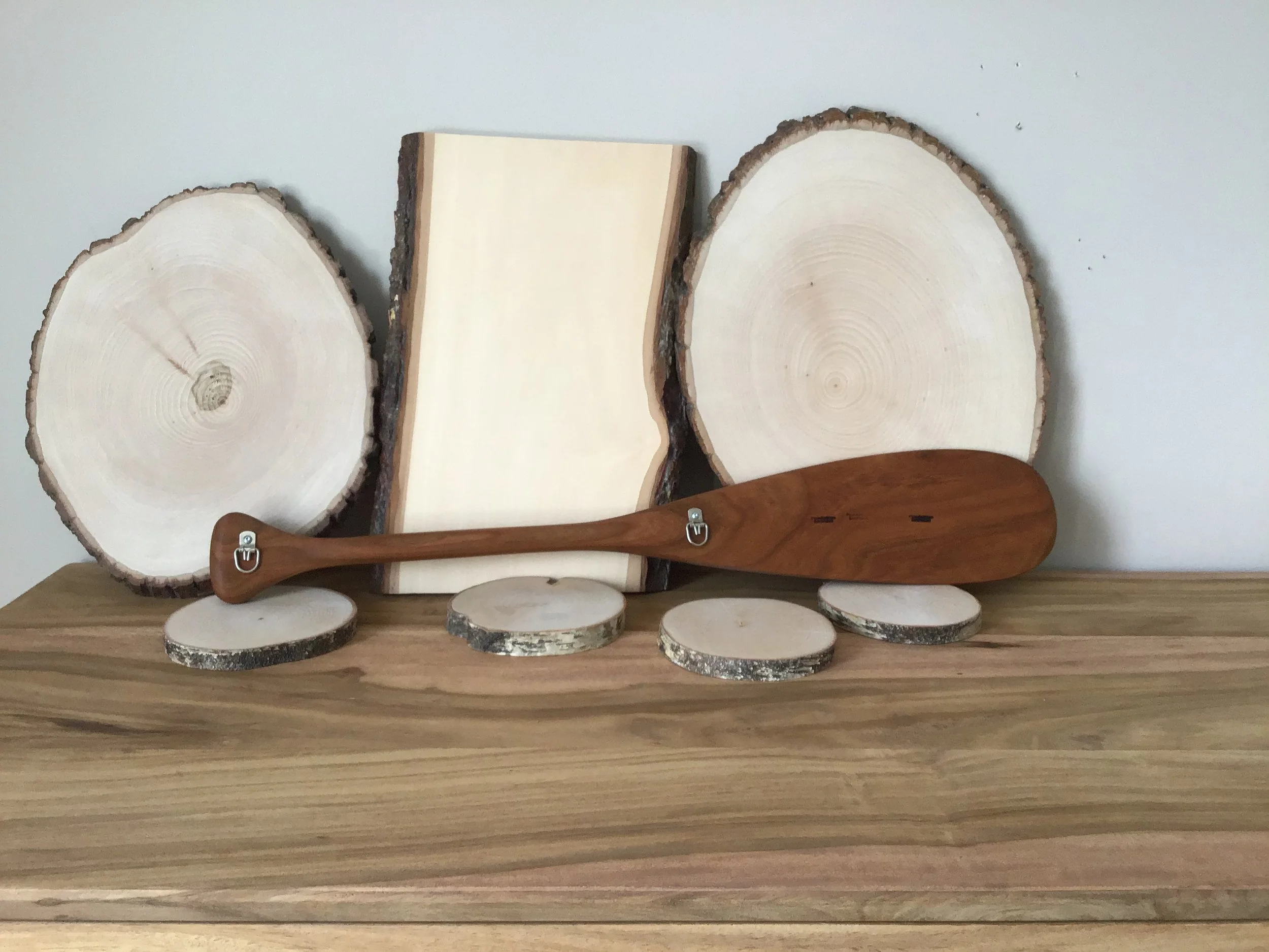 great grey owl on wooden paddle