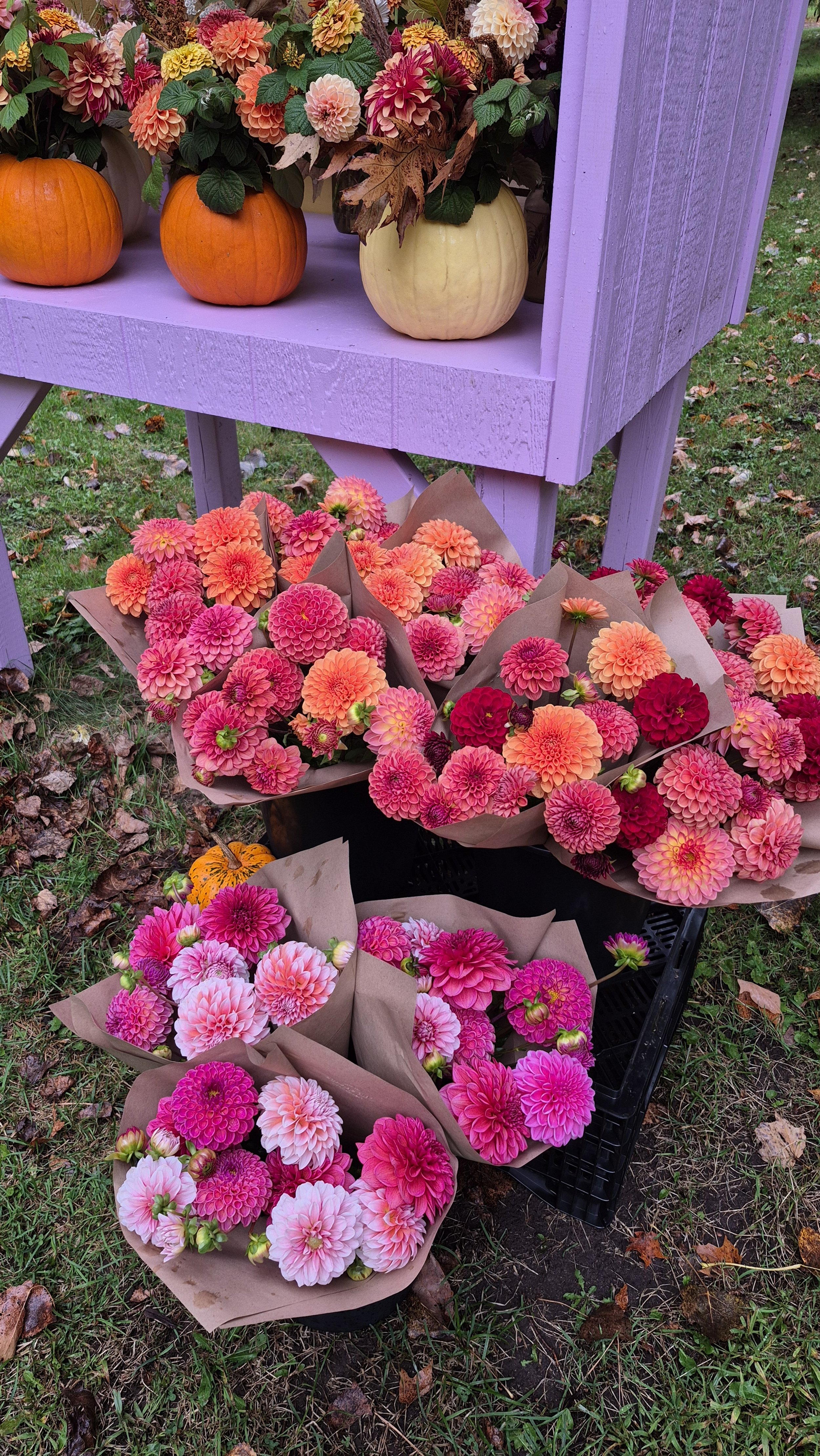 What Month do Flowers Bloom? A Month-by-Month Flower Guide for Local ...