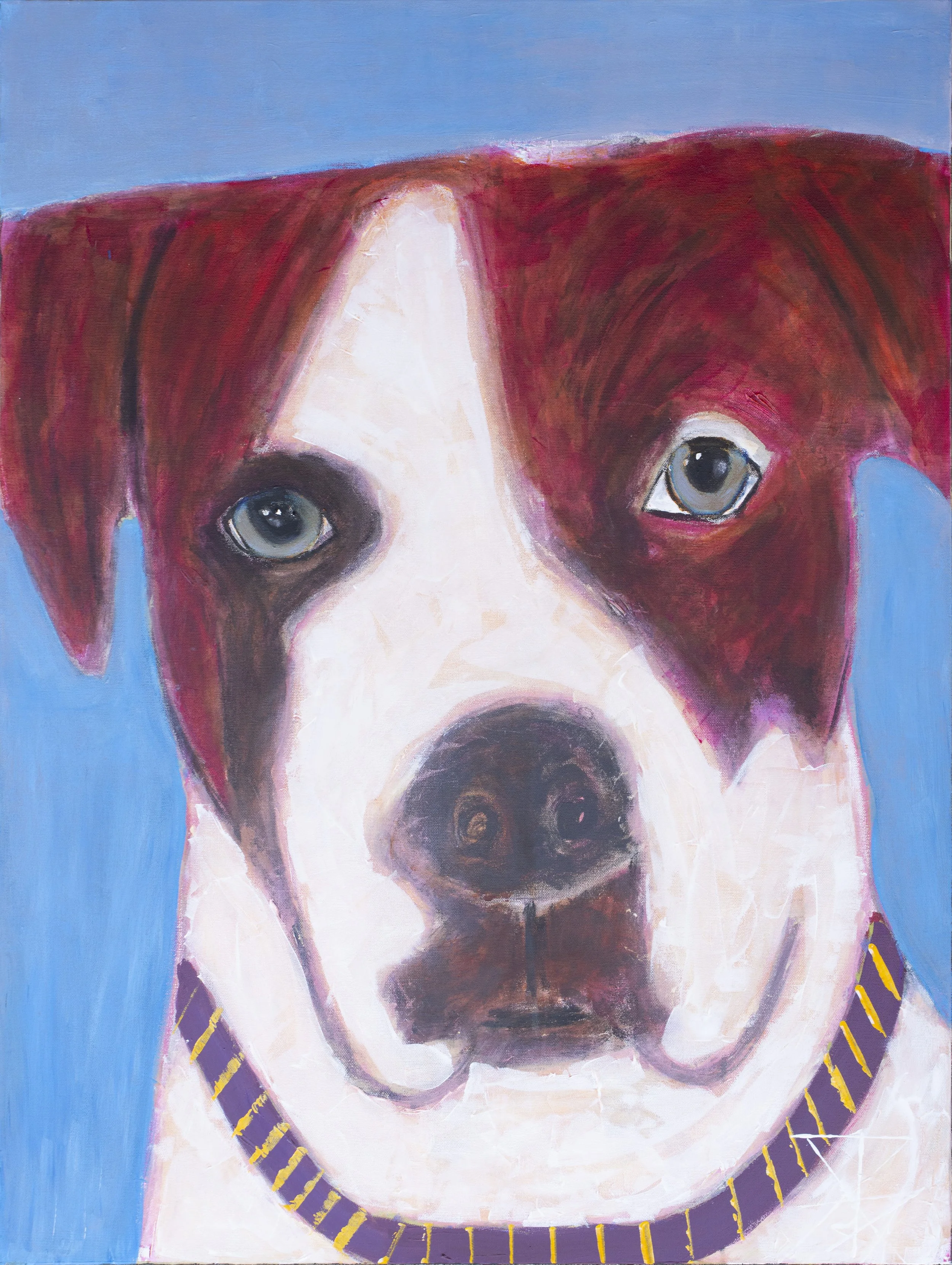 IMGP2407_Adopt Me.jpg