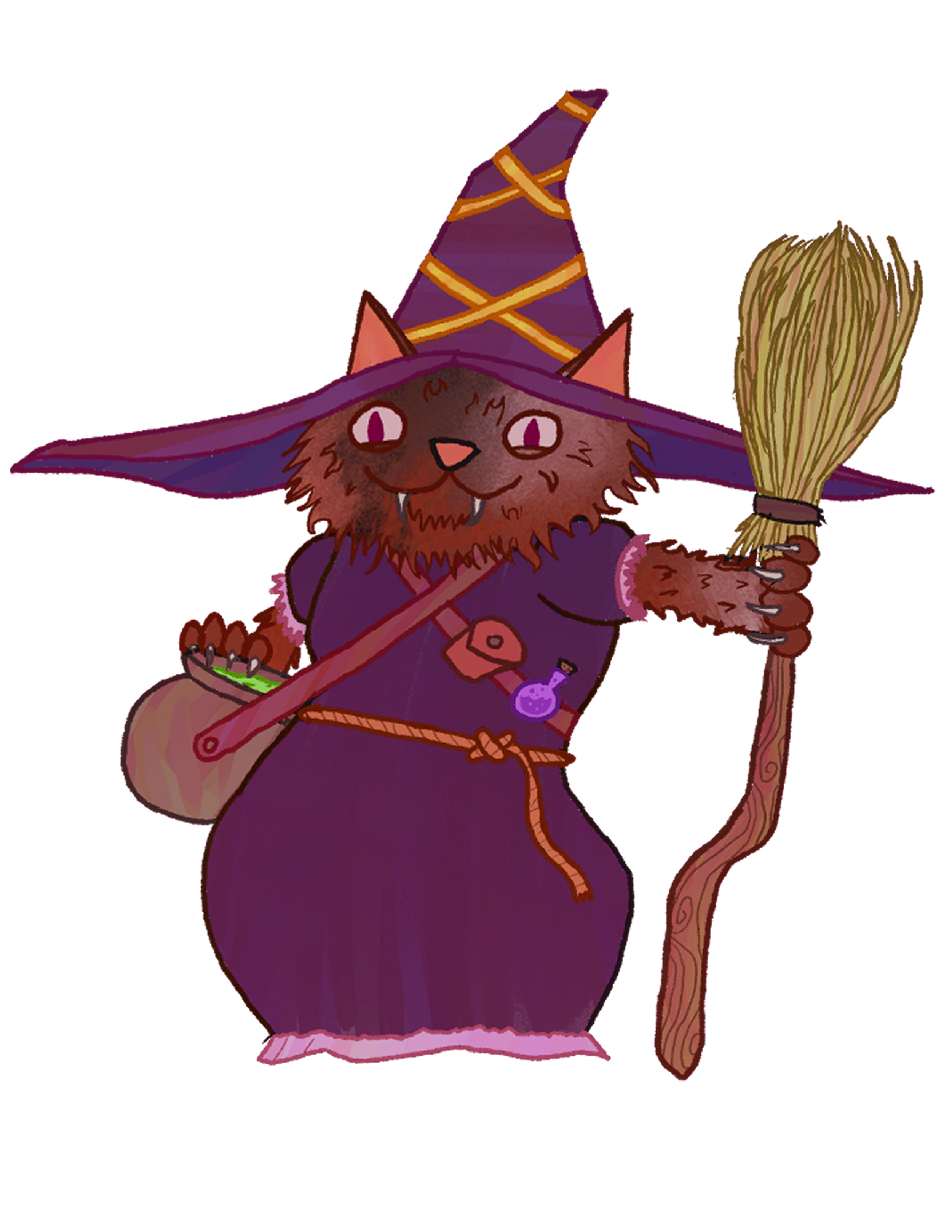 Wizard Cat Witch.png