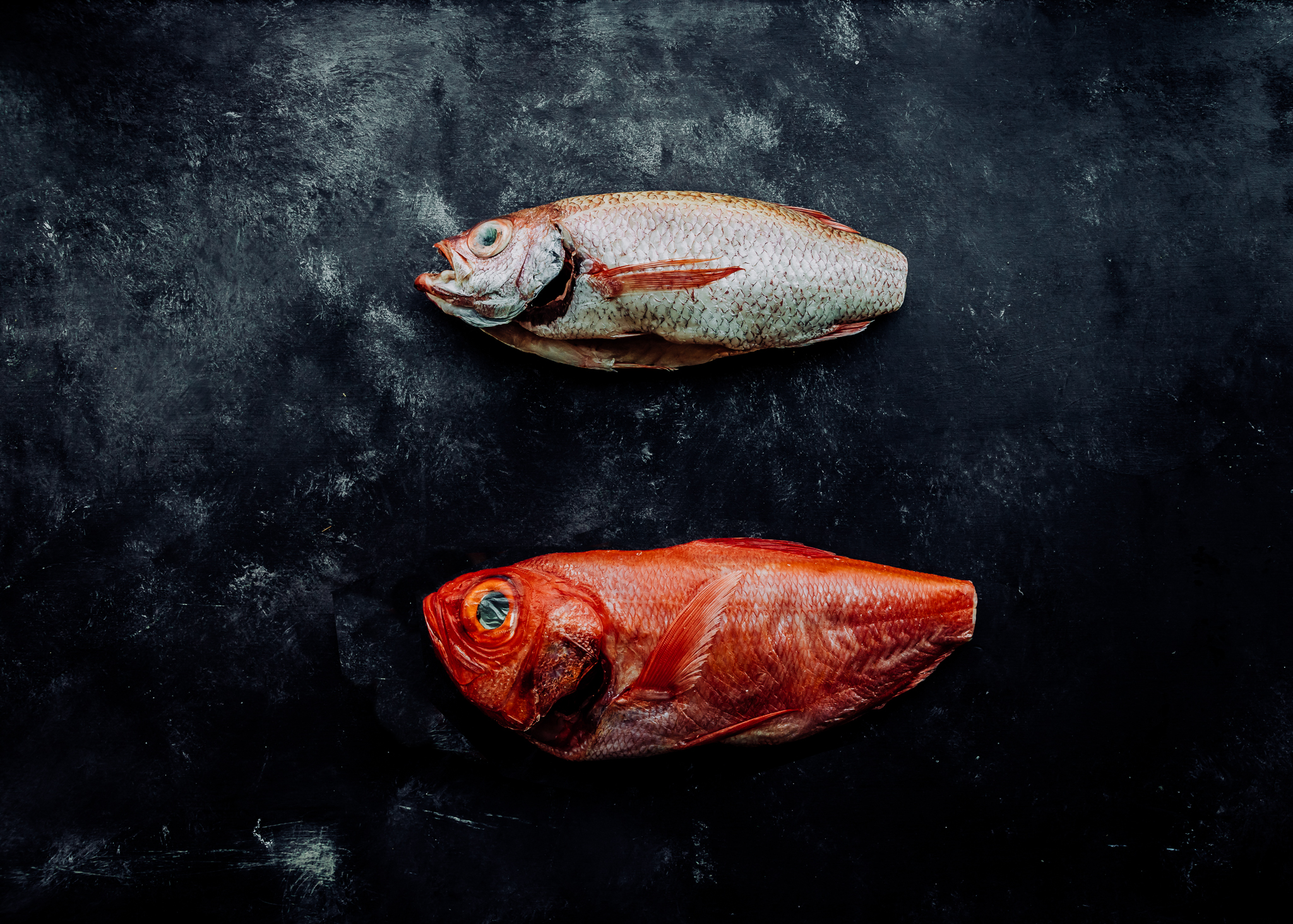 nigiri sushi yoshitomo omaha