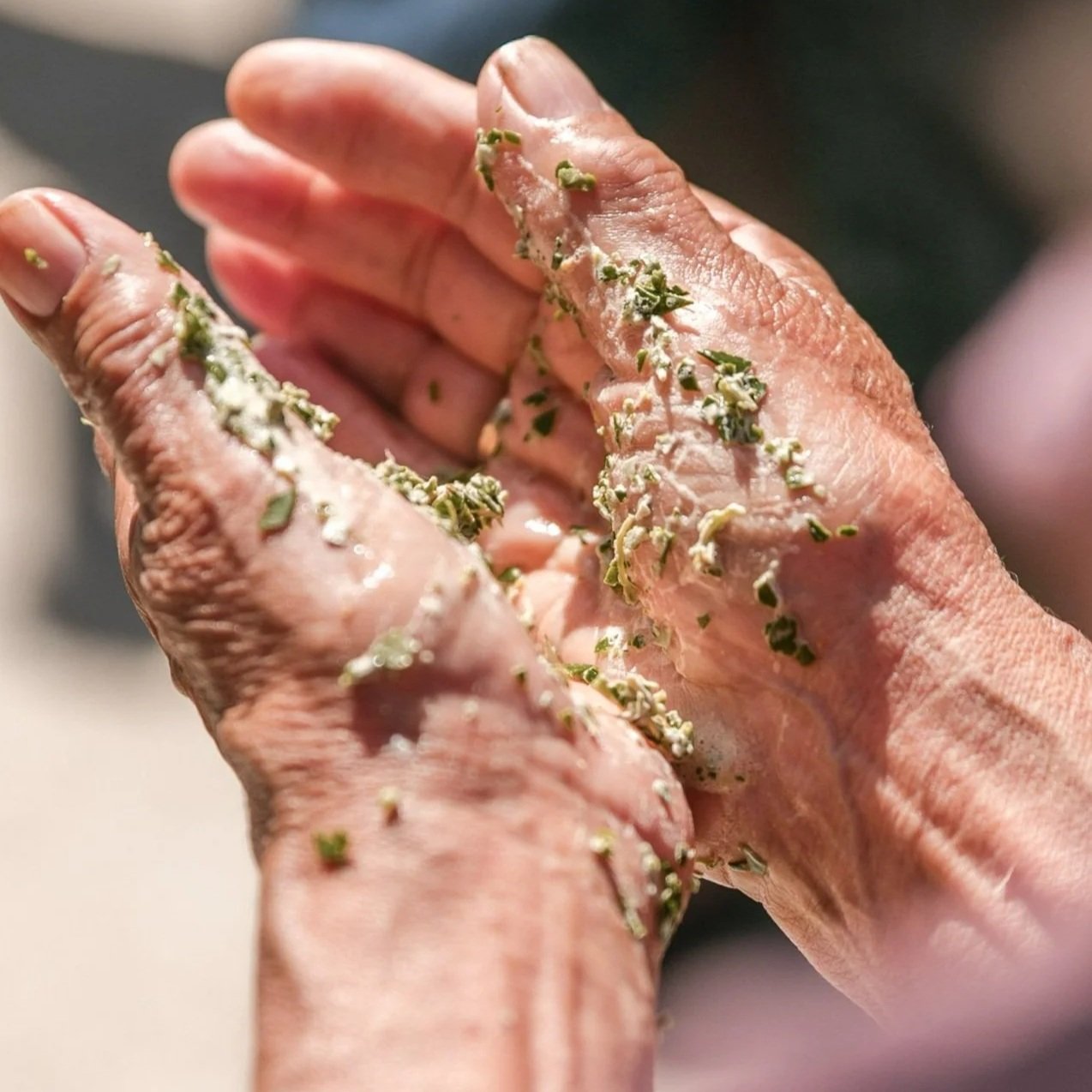 Close-up of wrinkled hands with green herbs and white substance on the skin.