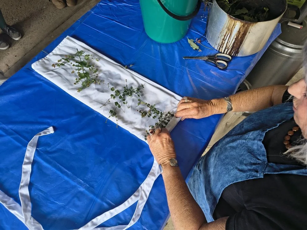 IMG_20251125_134856595_HDR  A.jpg