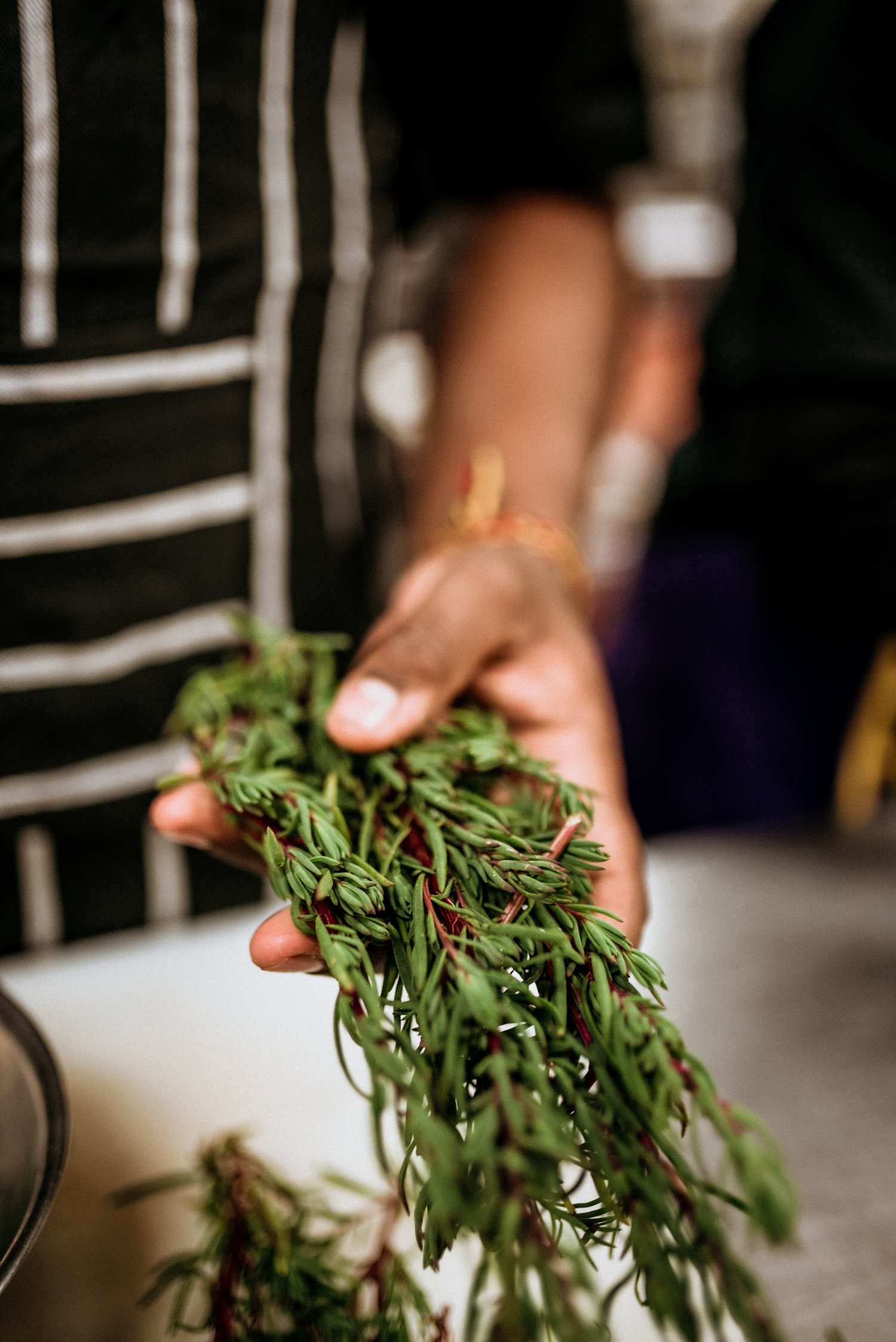 Membership | Join Today, Make Impact — Prepare Produce Provide