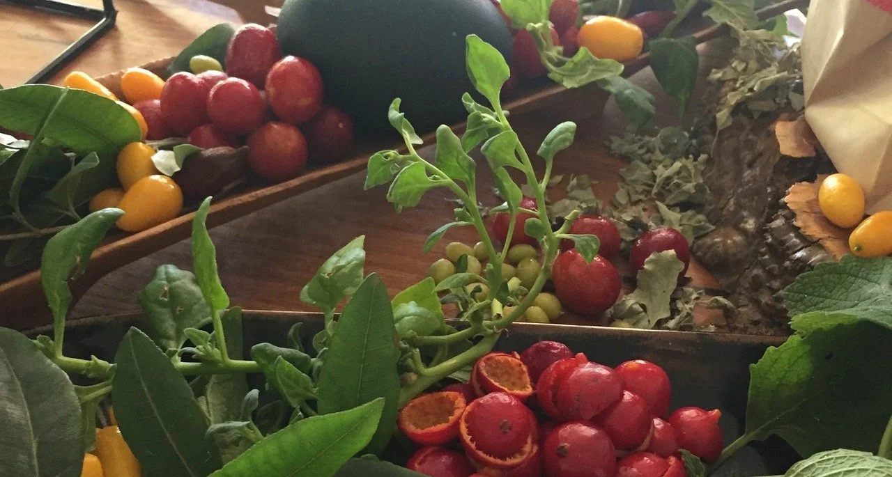 Native bush tomato