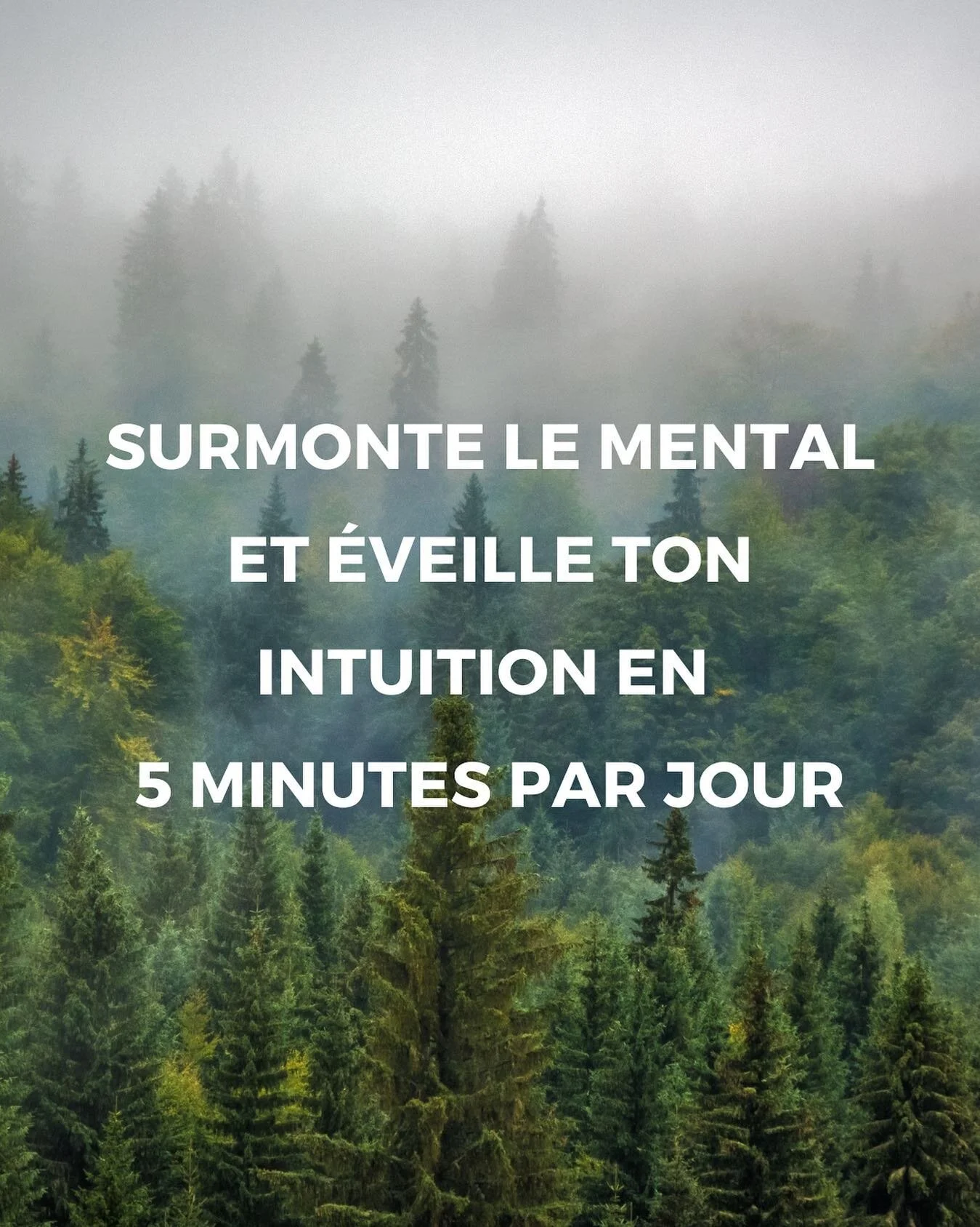 Se lib&eacute;rer du mental pour &eacute;couter son intuition : mythe ou r&eacute;alit&eacute; ? 

90% des personnes que je rencontre vivent avec un bruit constant dans leur t&ecirc;te&hellip; Qui les emp&ecirc;che d'&eacute;couter leur voix int&eacu