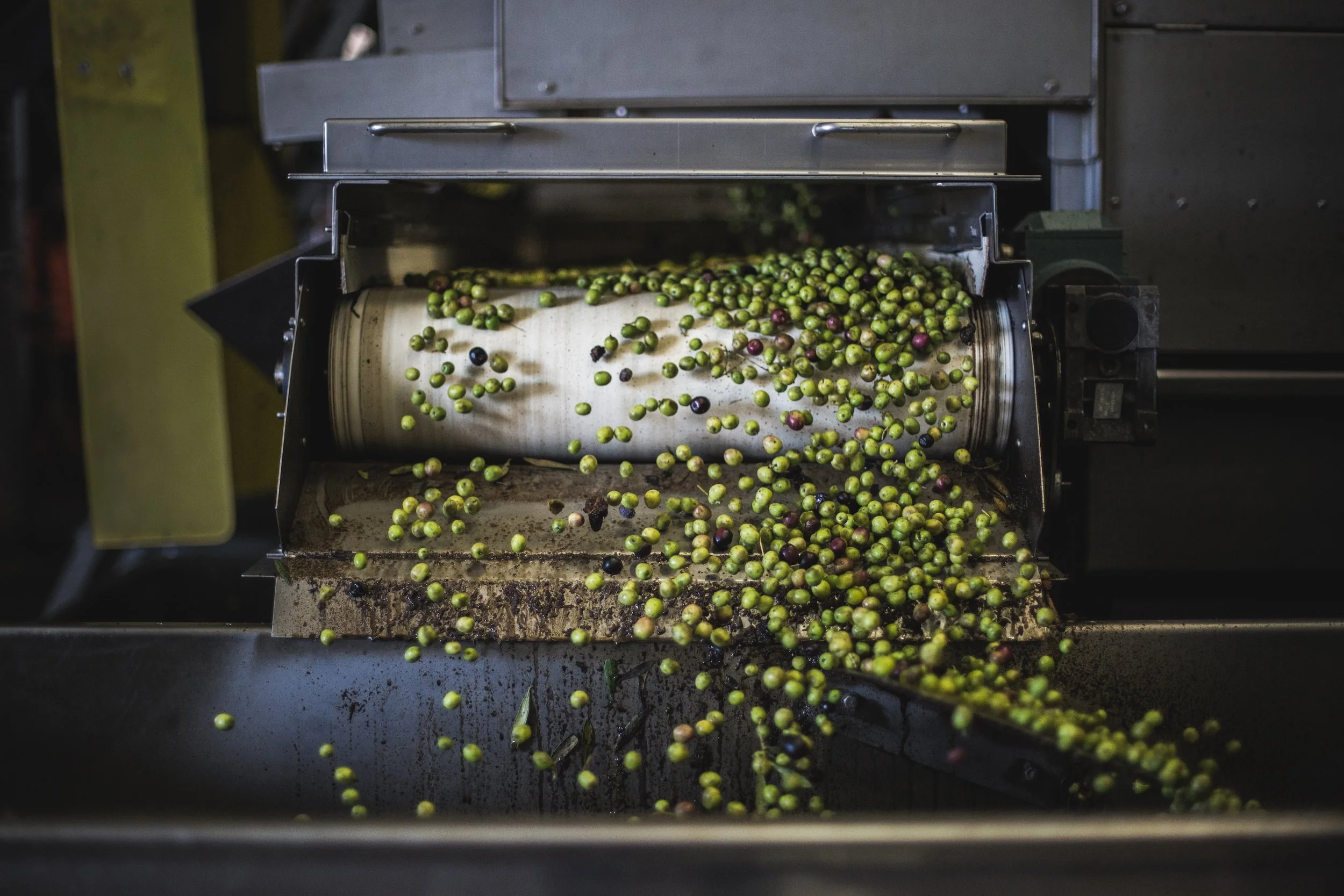 Why Olive Oil Producers Are Going Organic