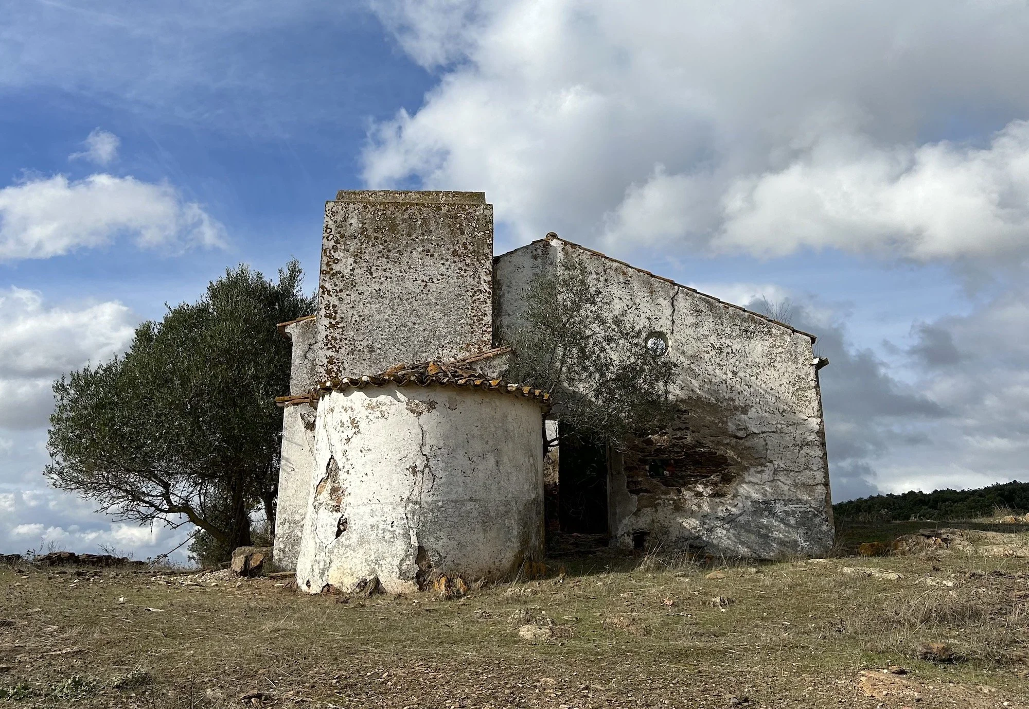 A Guide to Olive Oil From Alentejo, Portugal