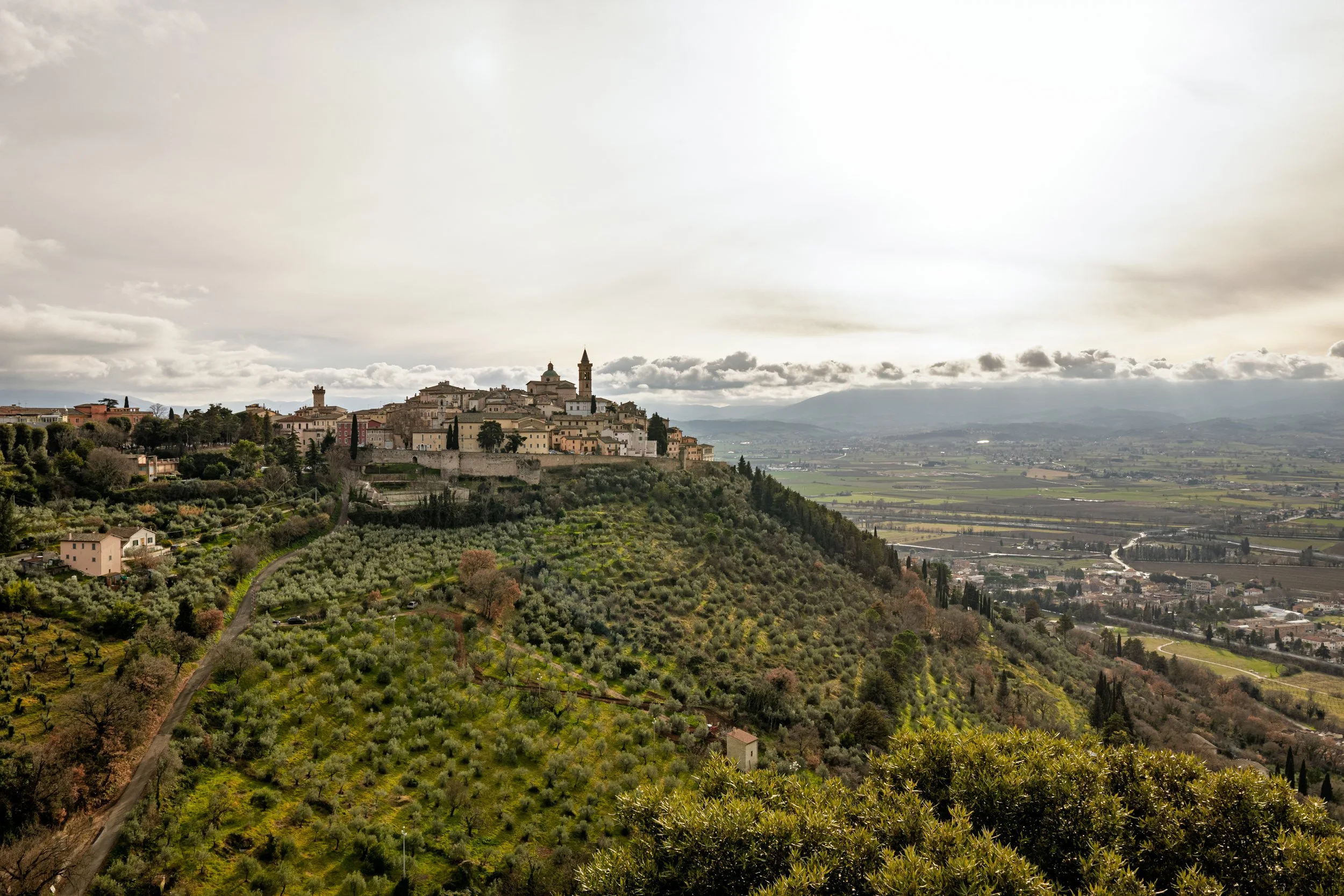 An Olive Oil Lover’s Guide to Umbria