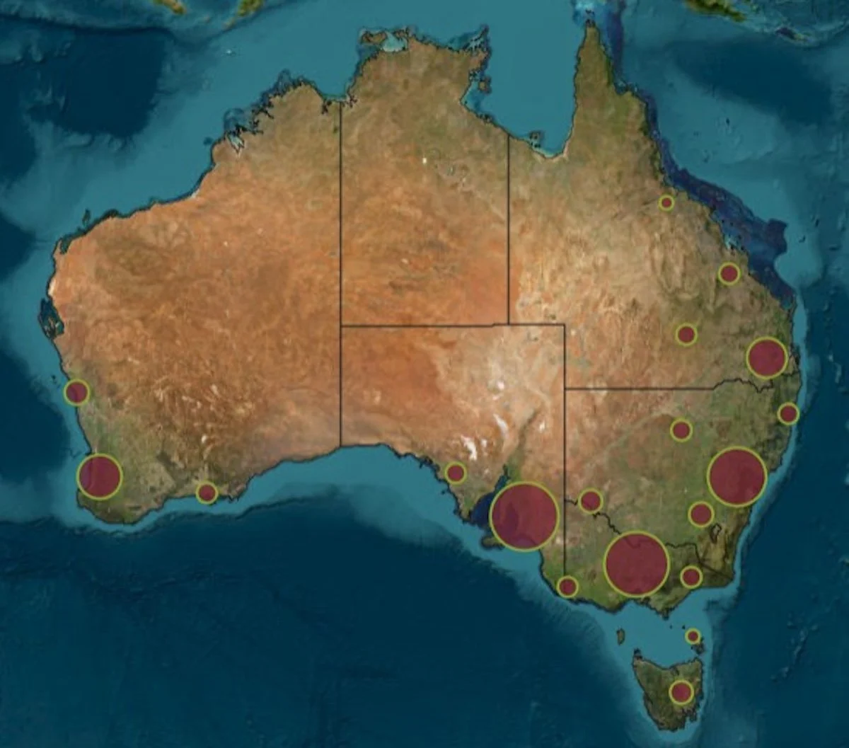 Australian olive map