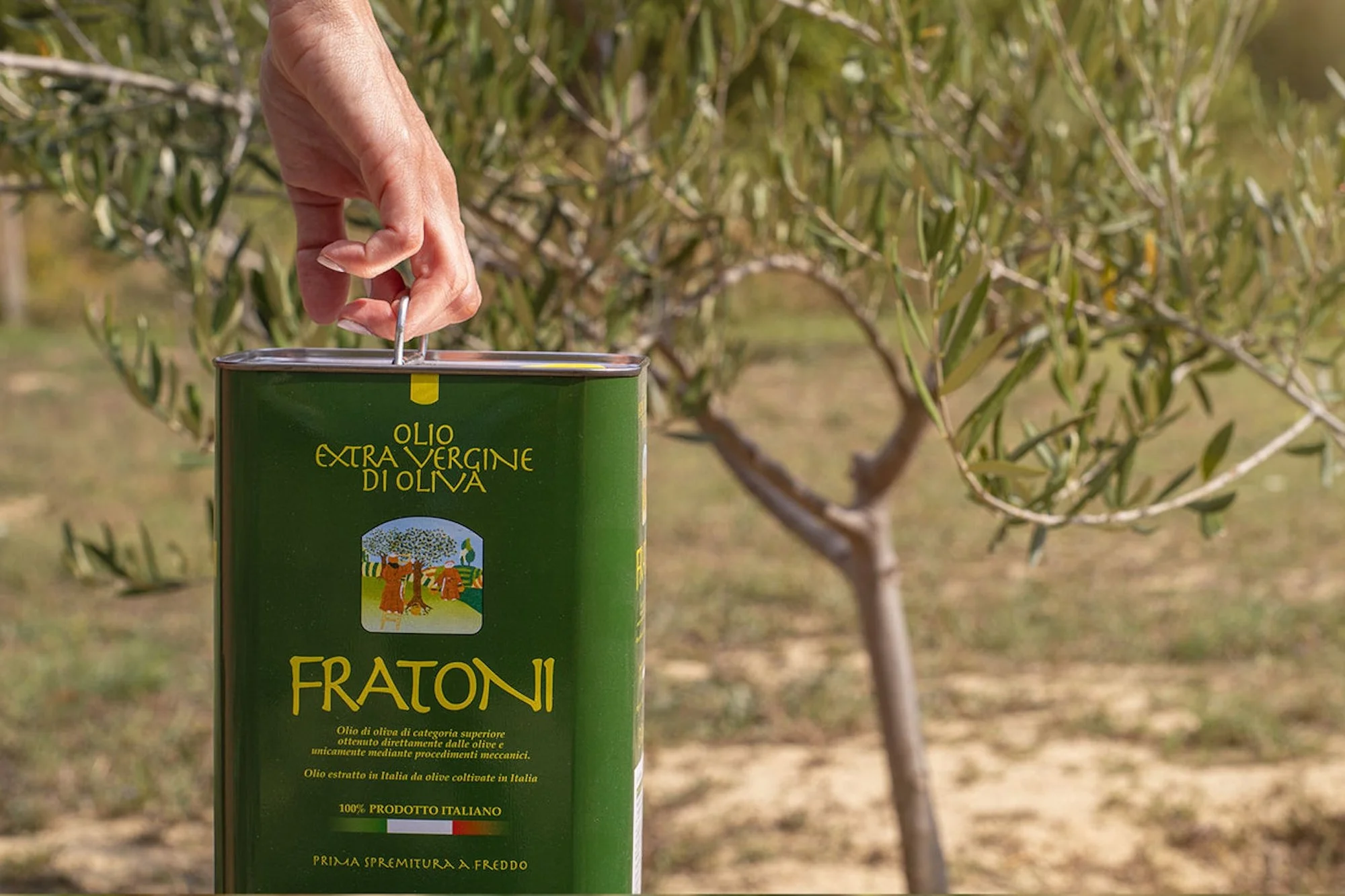 Frantoni olive oil in the grove