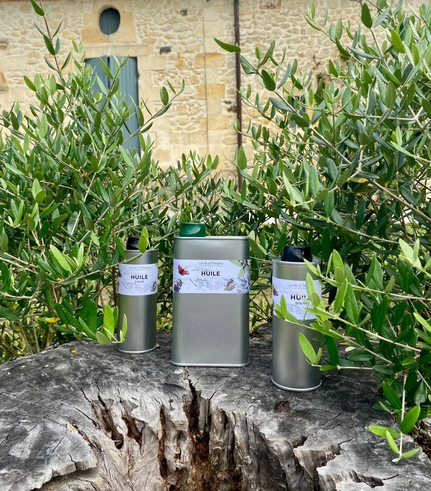 La vie à Thieuley tins