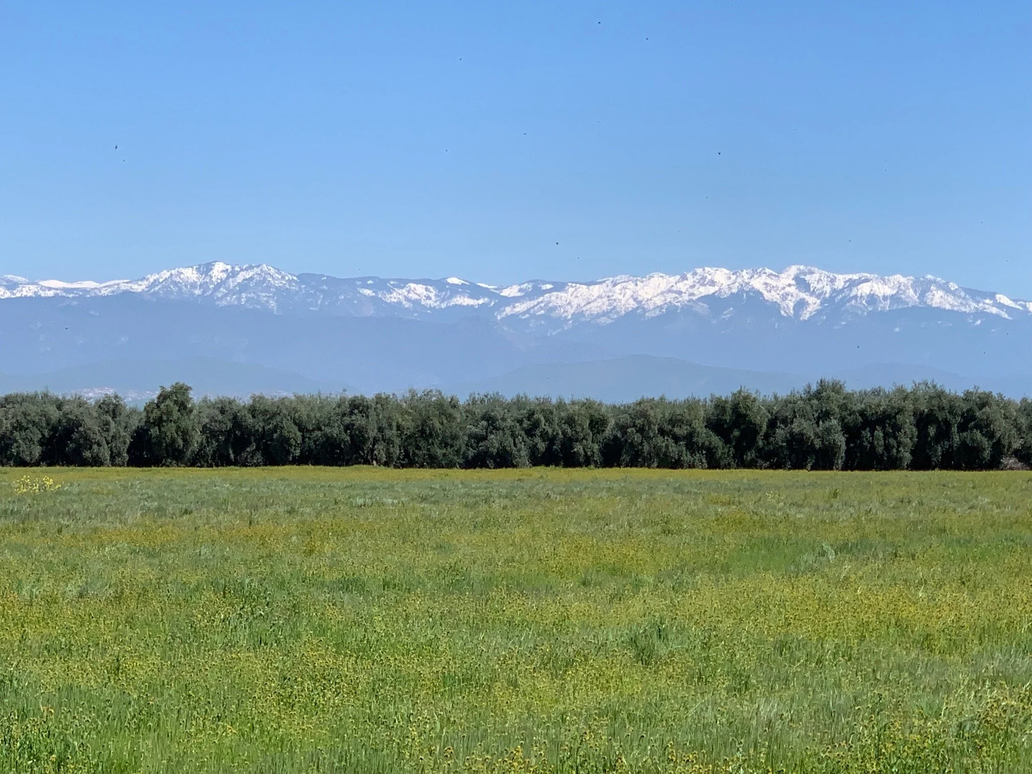 The stunning backdrop of Sierra Nevada mountains