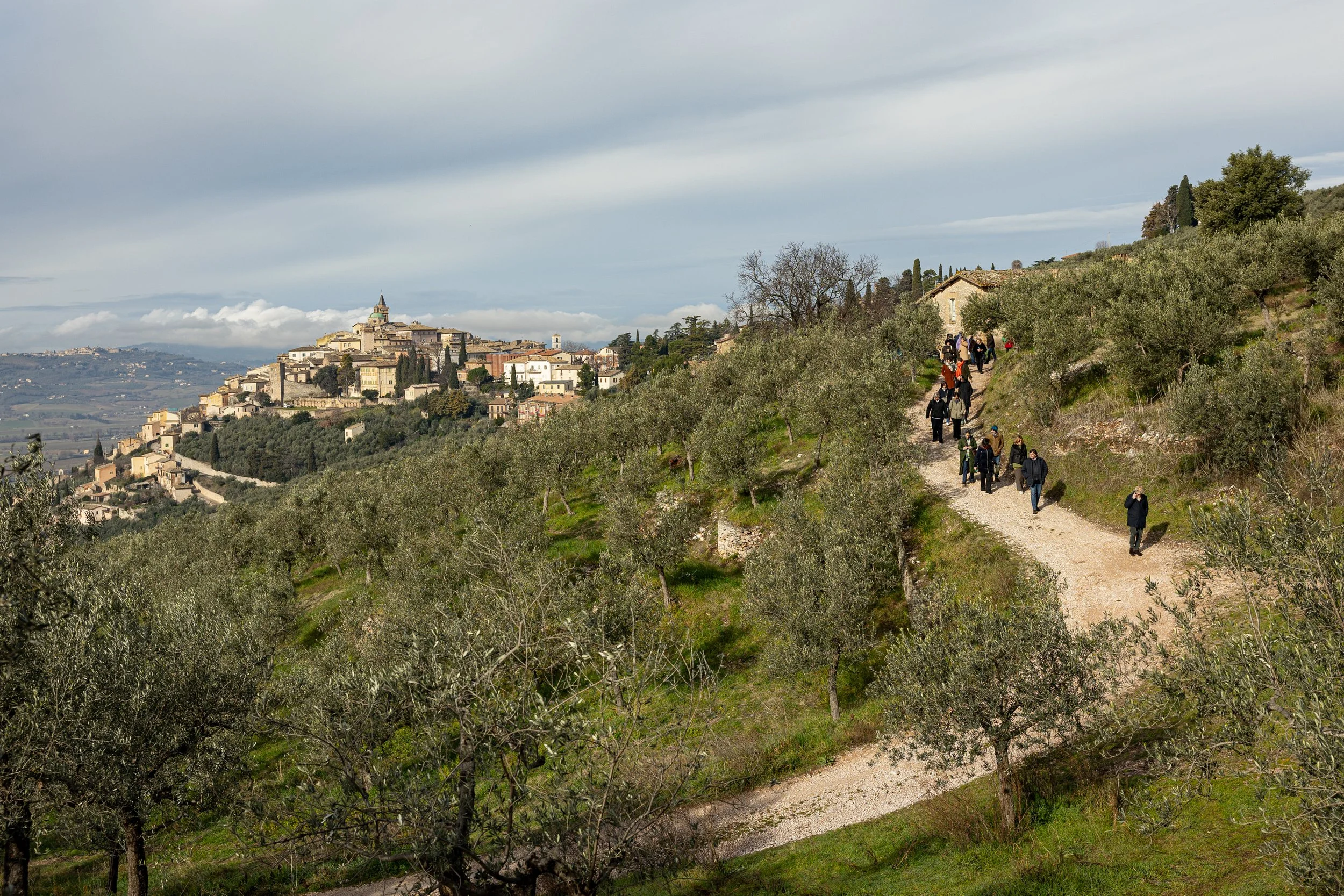 Umbria DOP Olive Oil Road