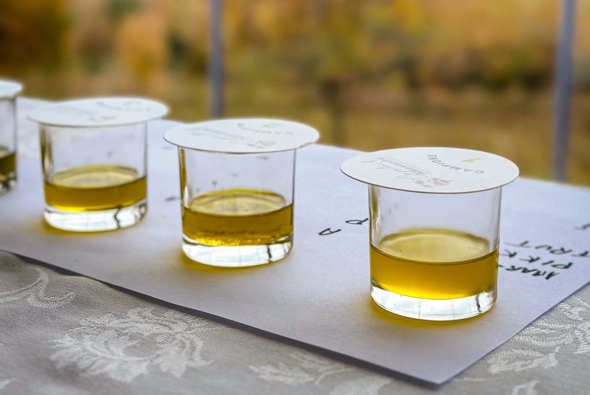Olive oils set up for tasting