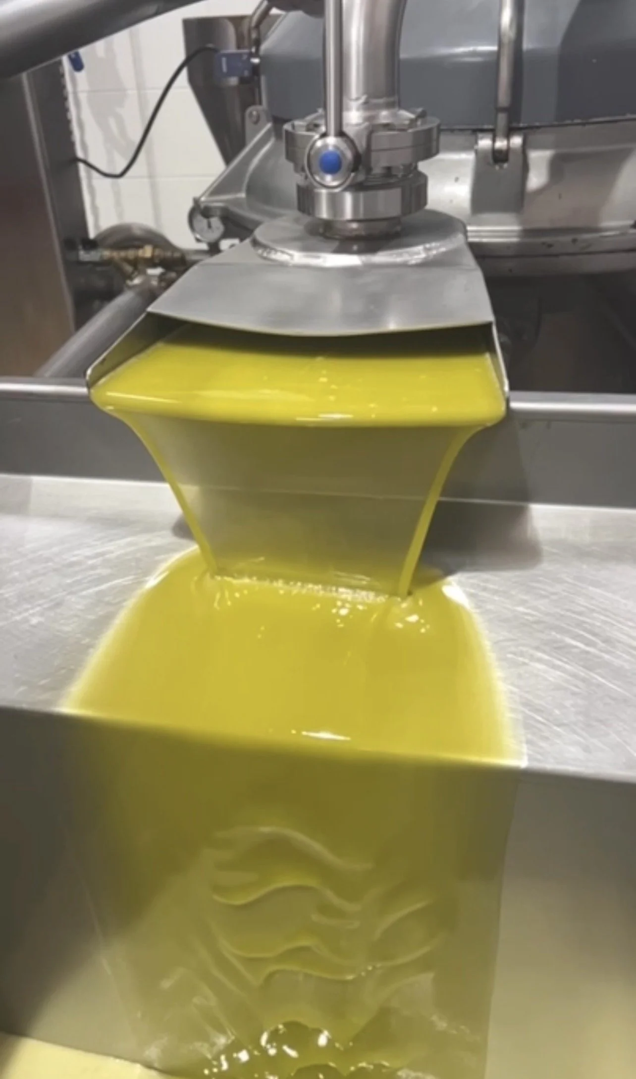 Fresh olive oil