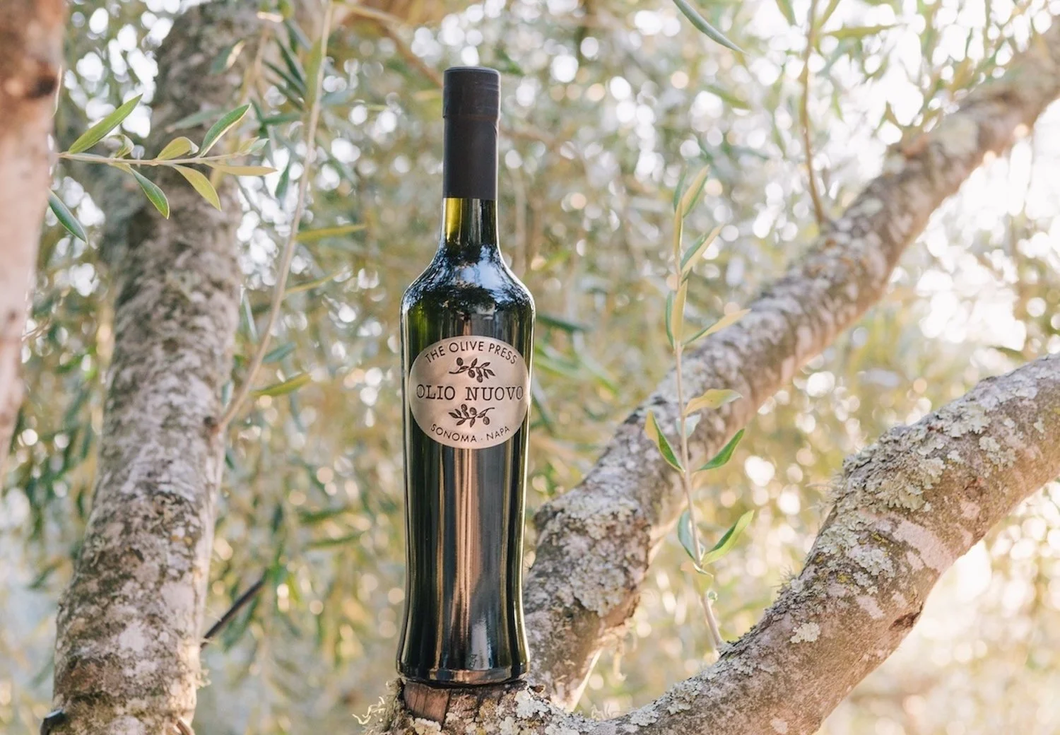 Olio Nuovo from The Olive Press