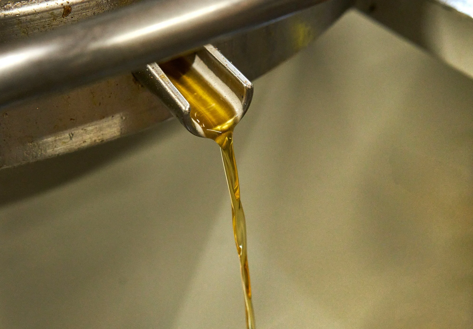 Spout of olive oil from a press