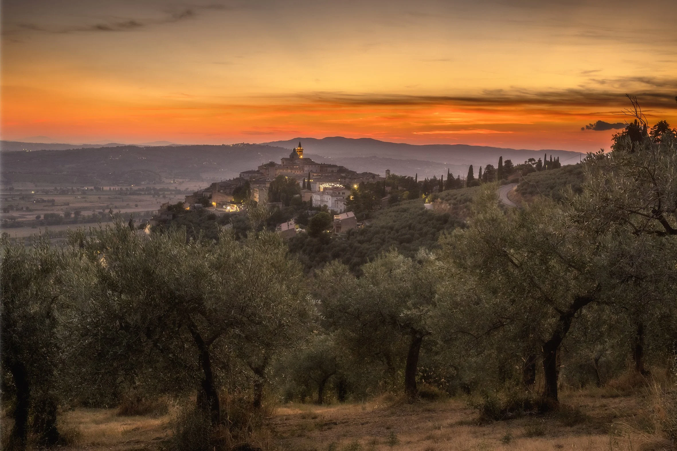 Sunset in the olive groves, overlooking Trevi