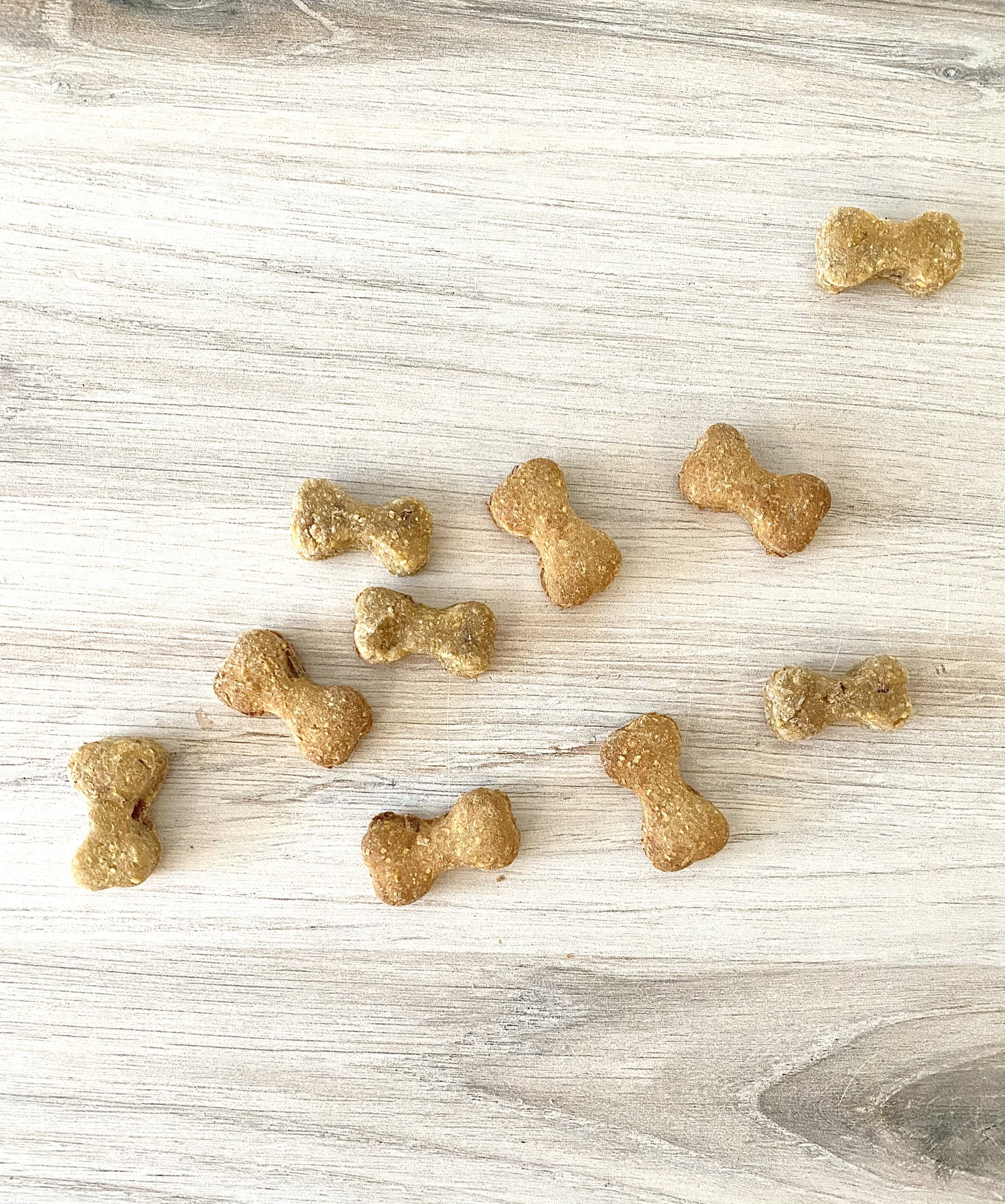 Dog Treats