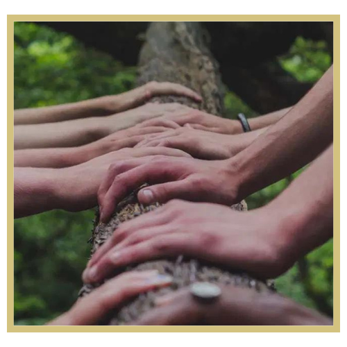 Multiple hands placed along a fallen tree trunk outdoors in a lush green forest.