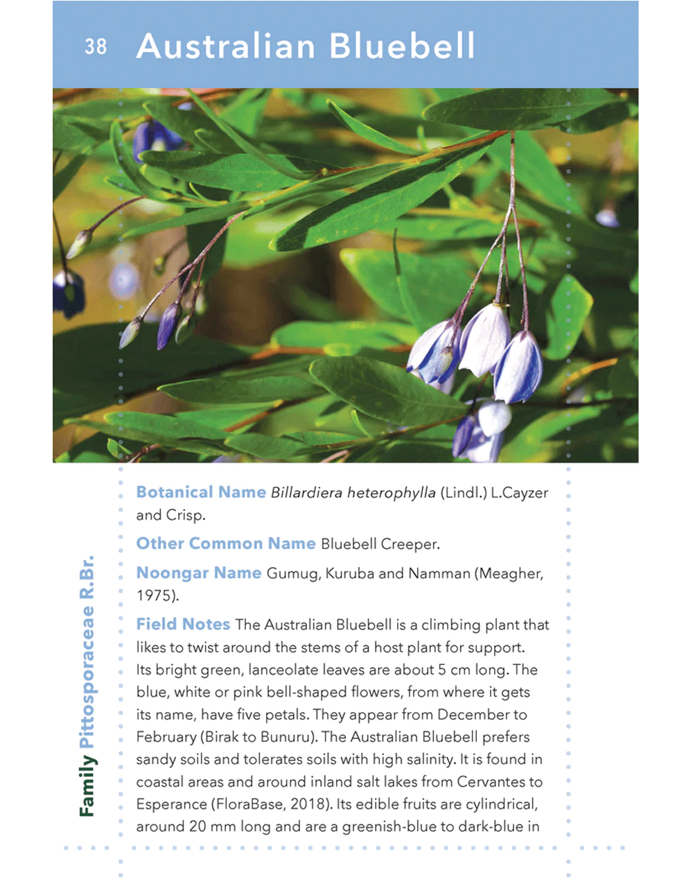 Books — Snippy's Yard Native Plant Nursery Fast Delivery Perth