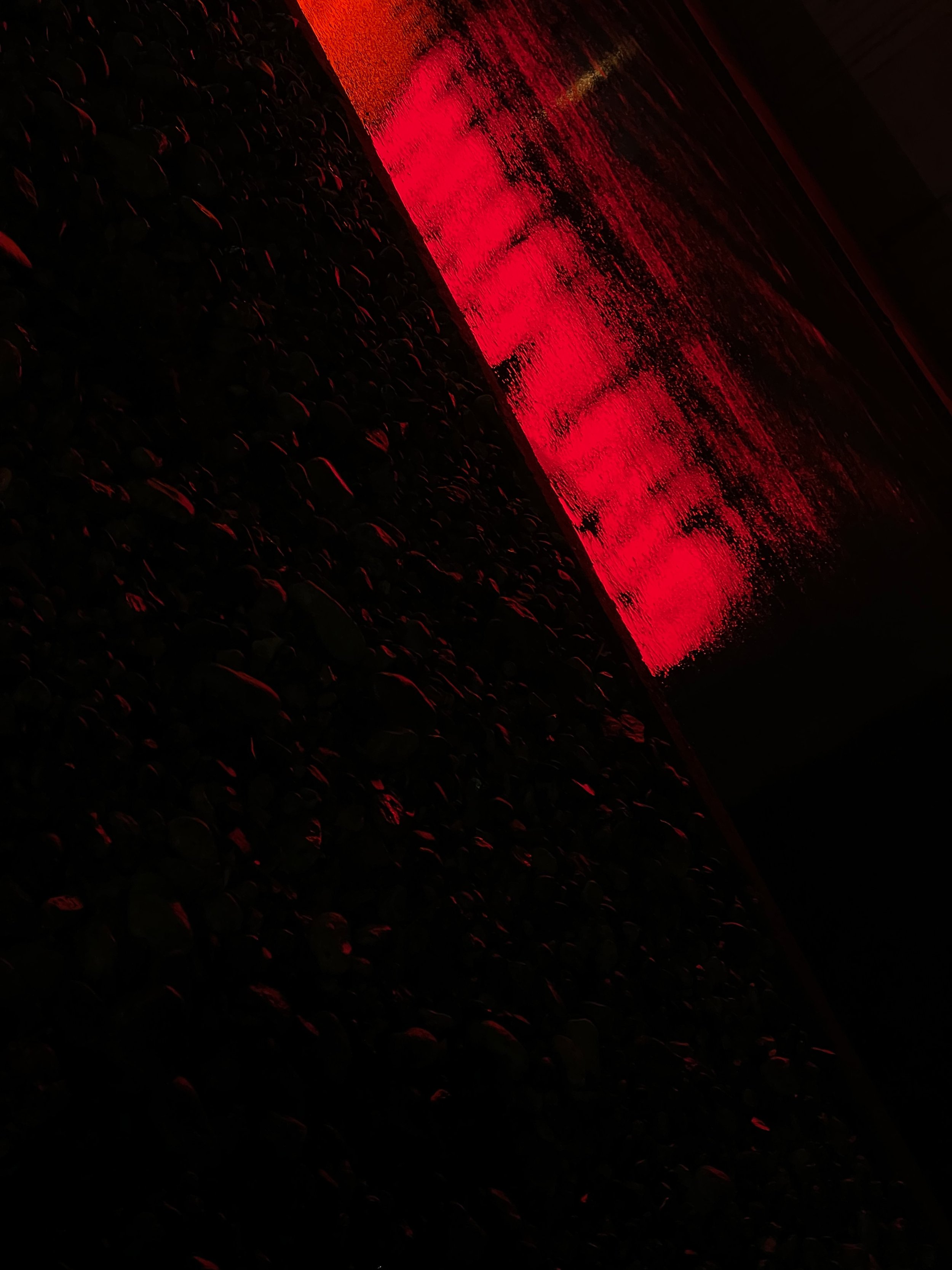 The Red (2022) - iPhone 12 Pro