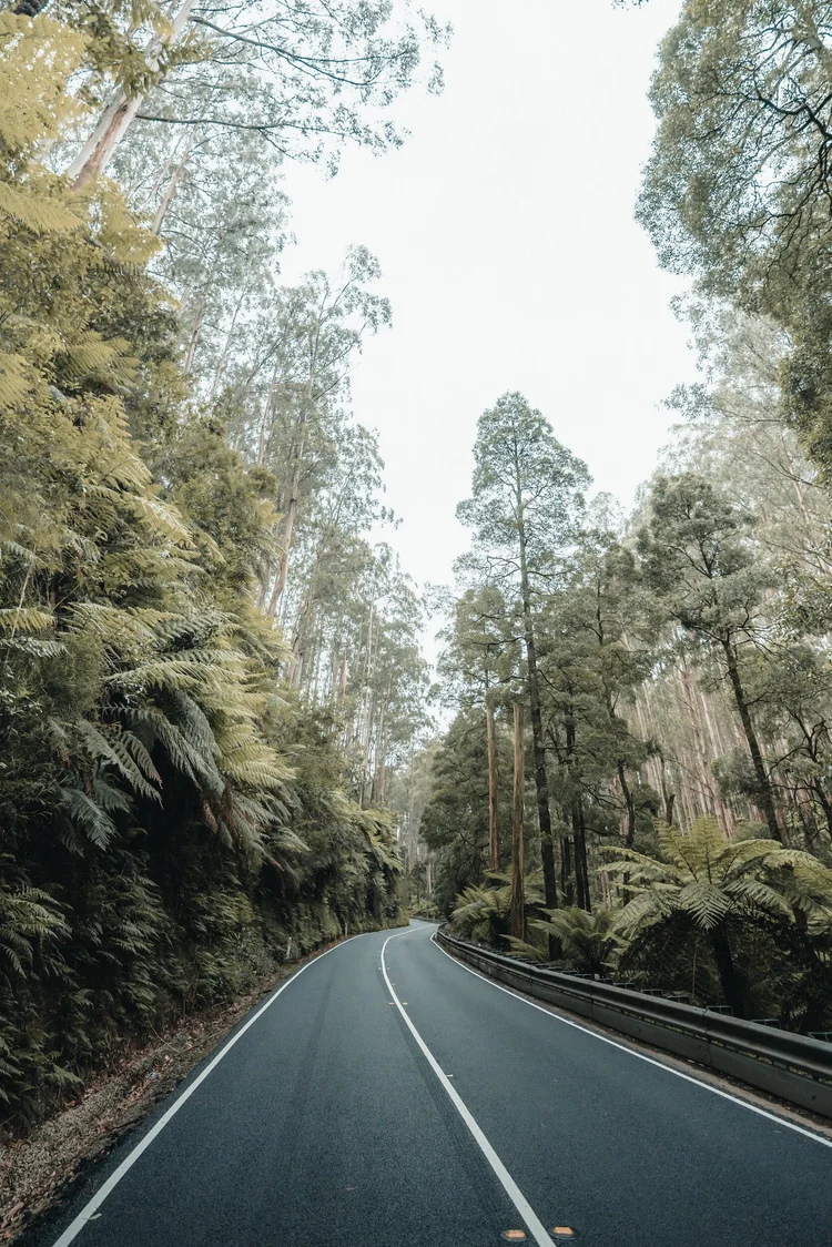 PALMERS TOURS LUXURY ALL INCLUSIVE COACH TOURS AUSTRALIA LUXURY