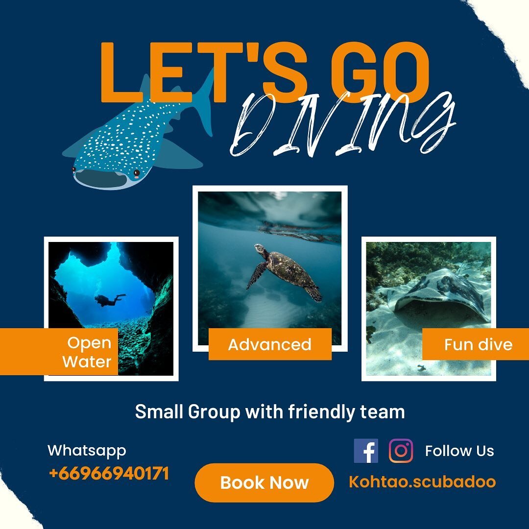 🤩 Open Water Course
For beginner, no experience required ! With Open water certification you can dive up to 18 M. 
🗓 3 days 6 dives 
💰 8,900.- from 11,000❌

⭐️ Advanced Adventures Course
For improving your diving skills from the open water. You wi