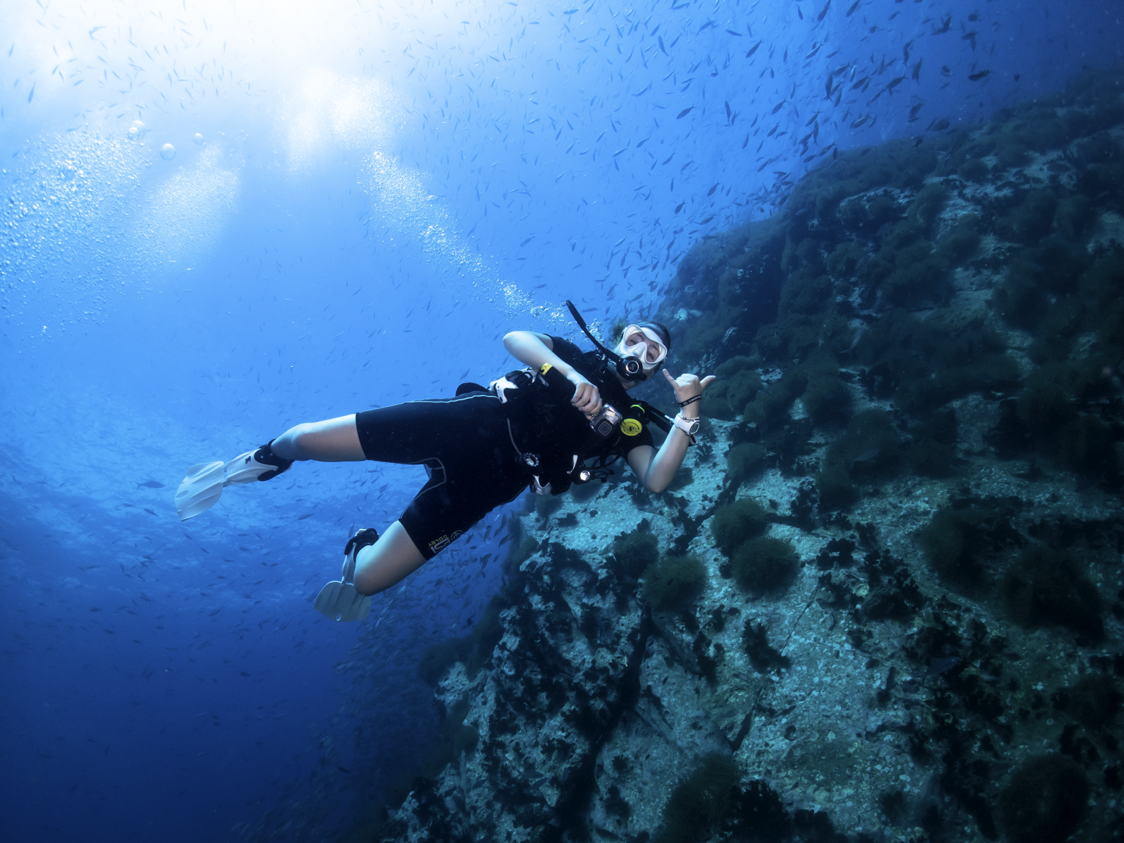 The Ultimate Guide to Koh Tao Dive Sites (2026)