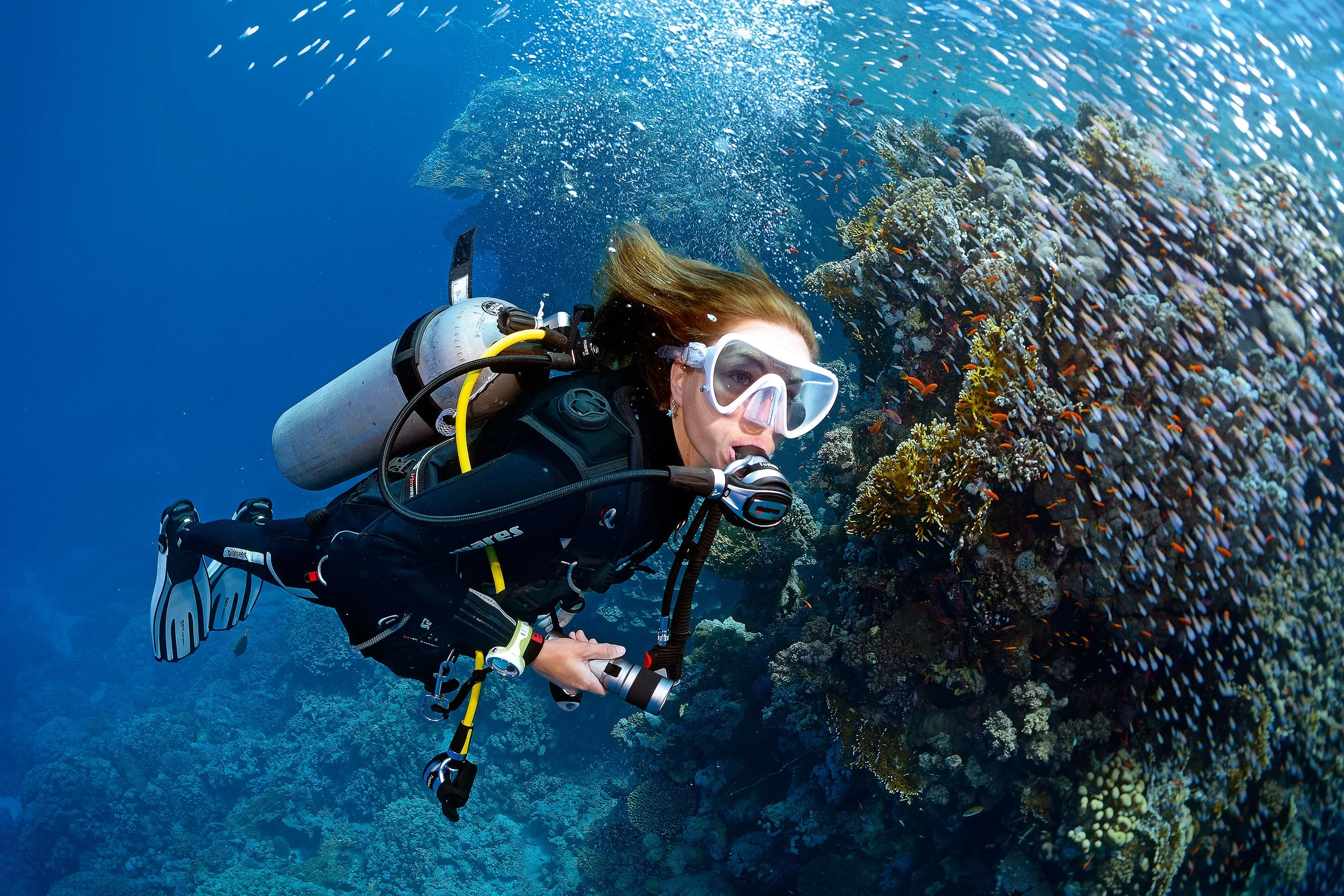 SSI vs PADI: Which Scuba Certification Is Better in Koh Tao?