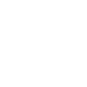 Minelab logo in black and white.