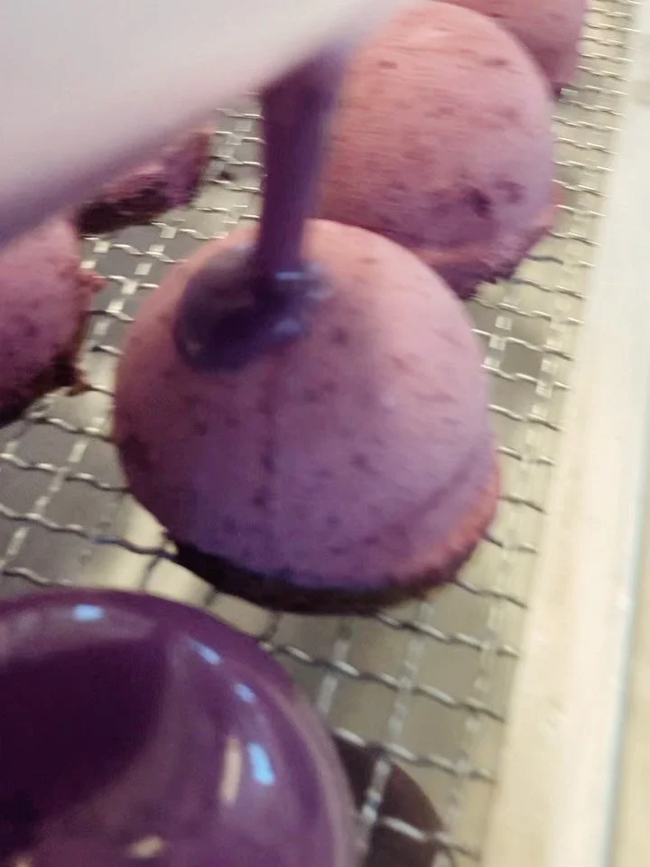 Kom in och fira med oss idag! Vi firar ju s&aring;klart Republiken J&auml;mtland egna dag 💙🤍💚 Fj&auml;llis hyllningsbakelse. Brownie, lingon, bl&aring;b&auml;rsmousse och mirrorglaze.