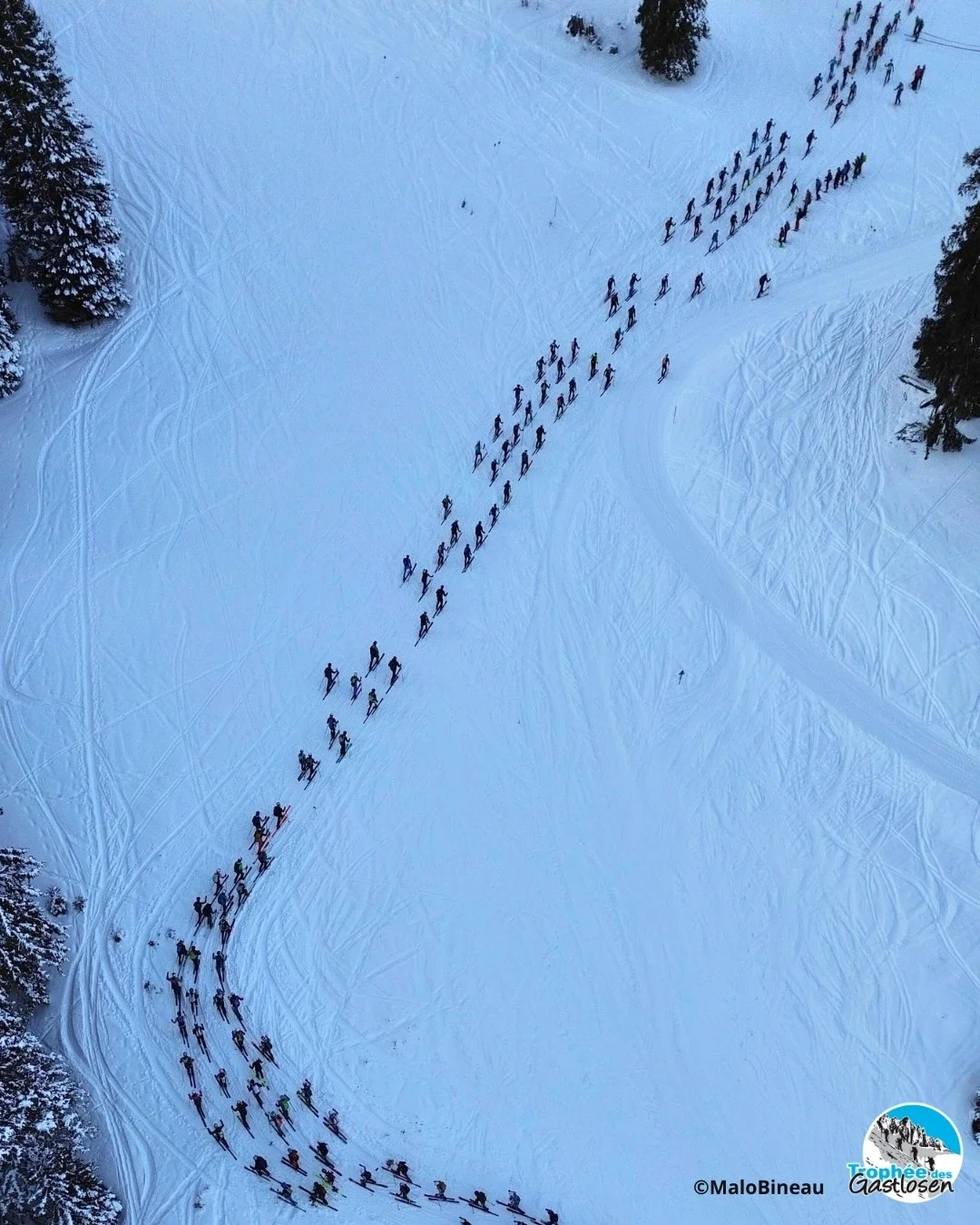 Retrouvez toutes les photos de la 33&egrave;me &eacute;dition du Troph&eacute;e sur notre site internet ! 
Un grand merci &agrave; @bastienruffieux_wildlife , &agrave; @anouk_temel , &agrave; @isabelle.rime.9 et @malo_bineau pour ces magnifiques phot