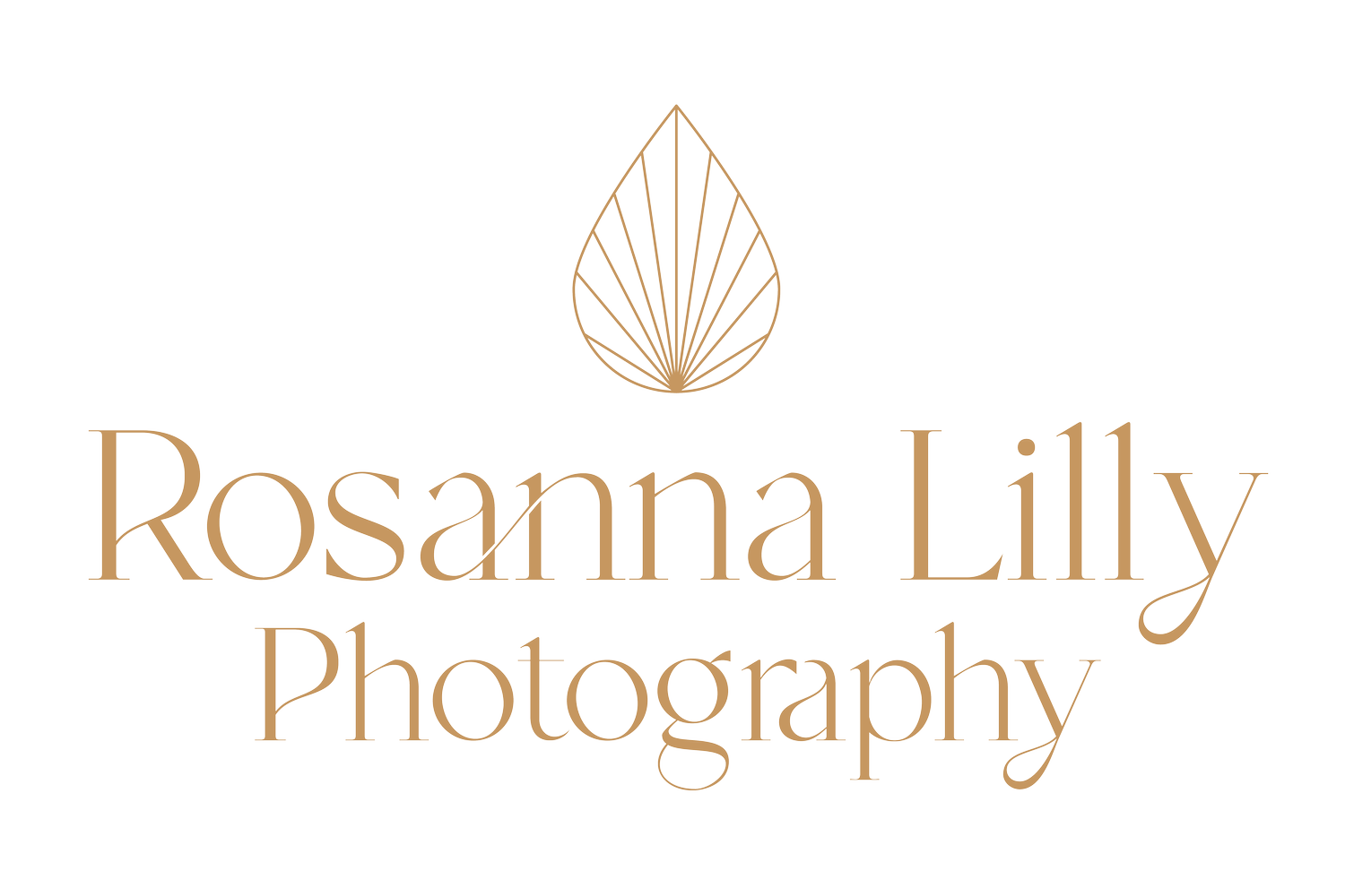 Rosanna Lilly Photography