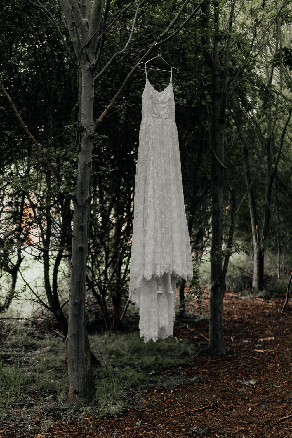 chantel lauren wedding dress hanging in the forest