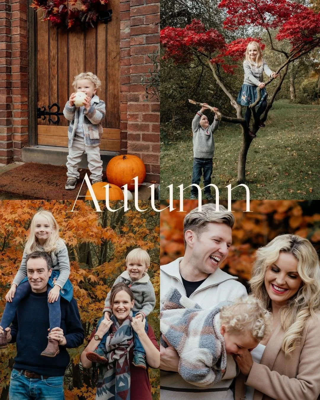 collage of four family photography images taken in the autumn with pumpkins, orange and red coloured leaves on the trees 