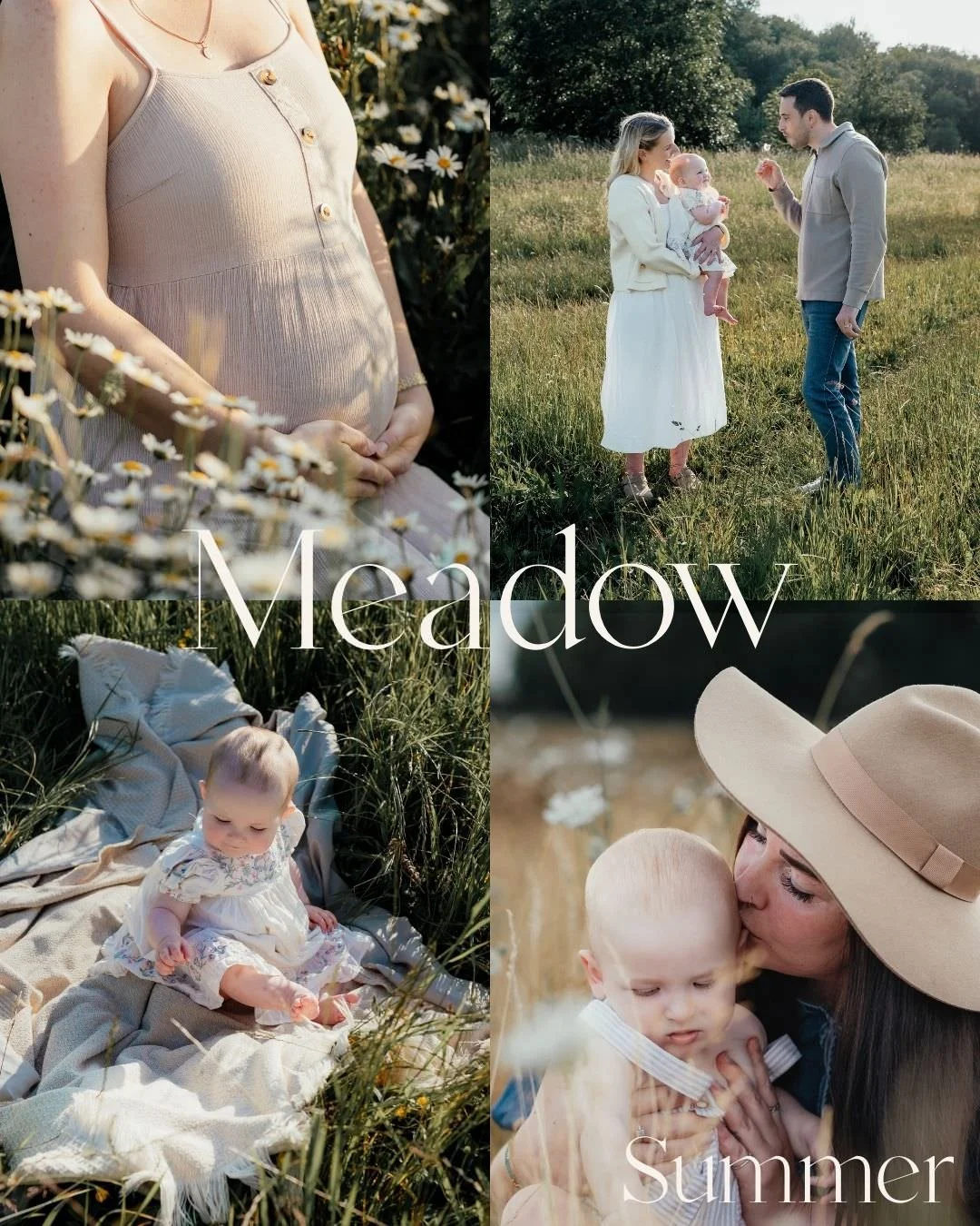 collage of four images, showing baby photography in summer time in a meadow with daisies