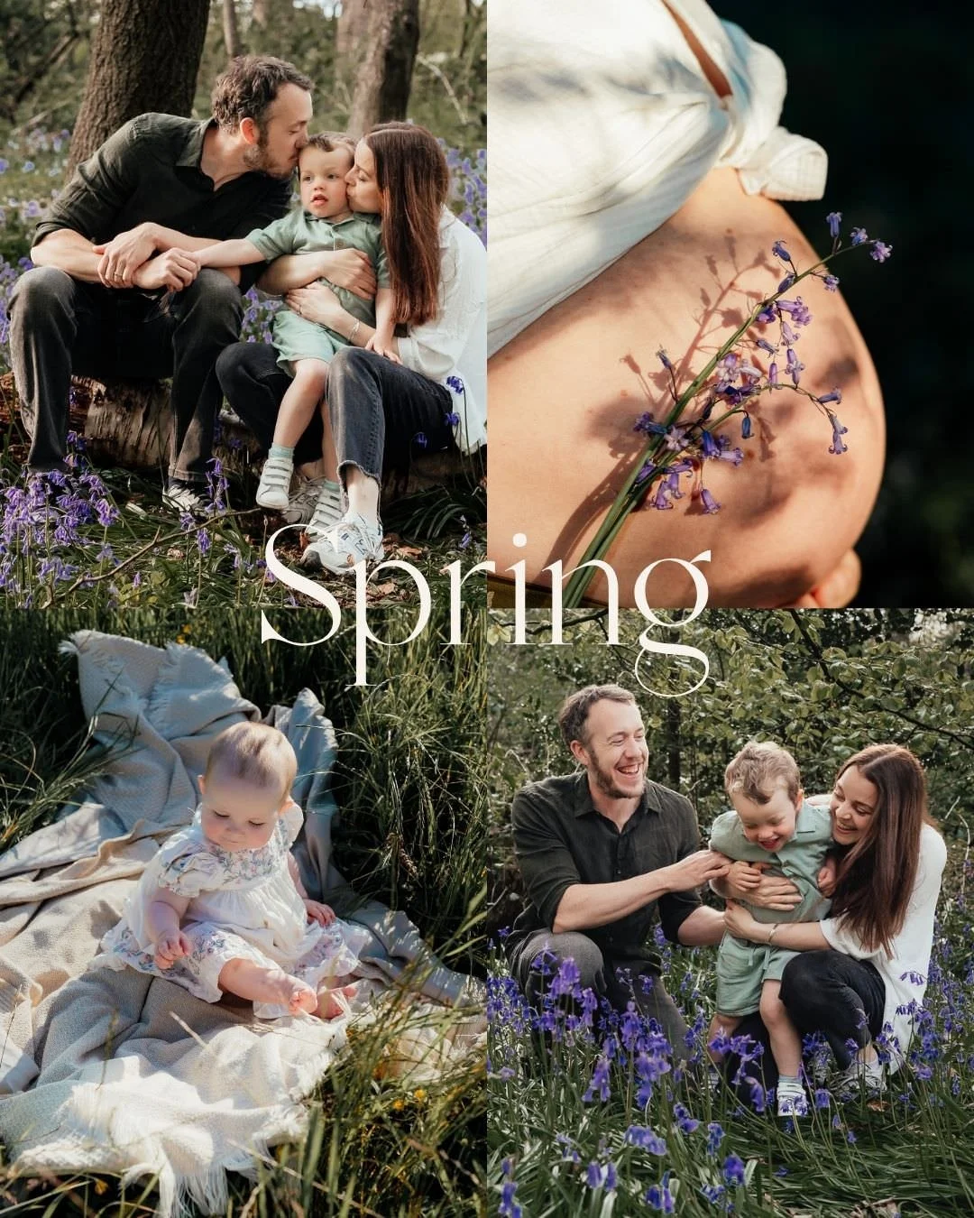 collage of four spring time images of families, a baby and a pregnant lady amongst the bluebells in the woods
