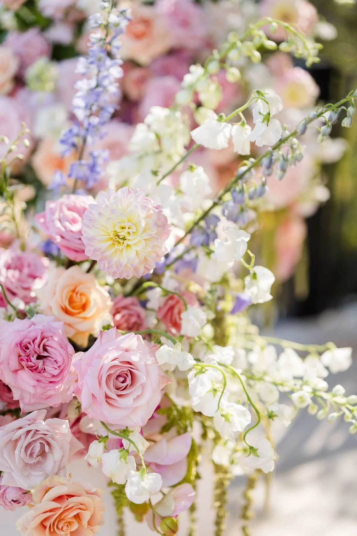 Mother's Day Mini Sessions - Sunday 1st March