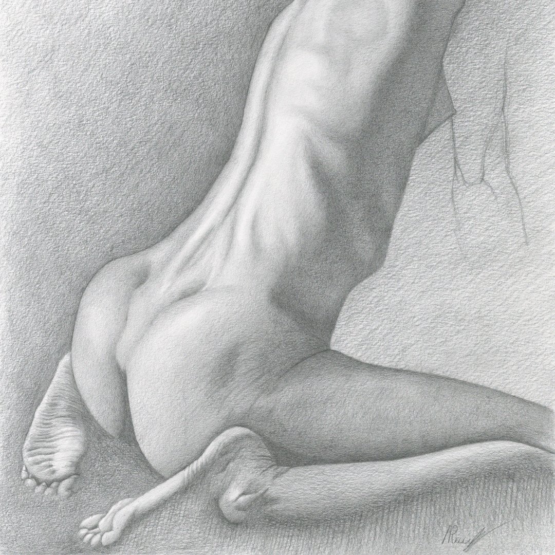 Female nude n°16