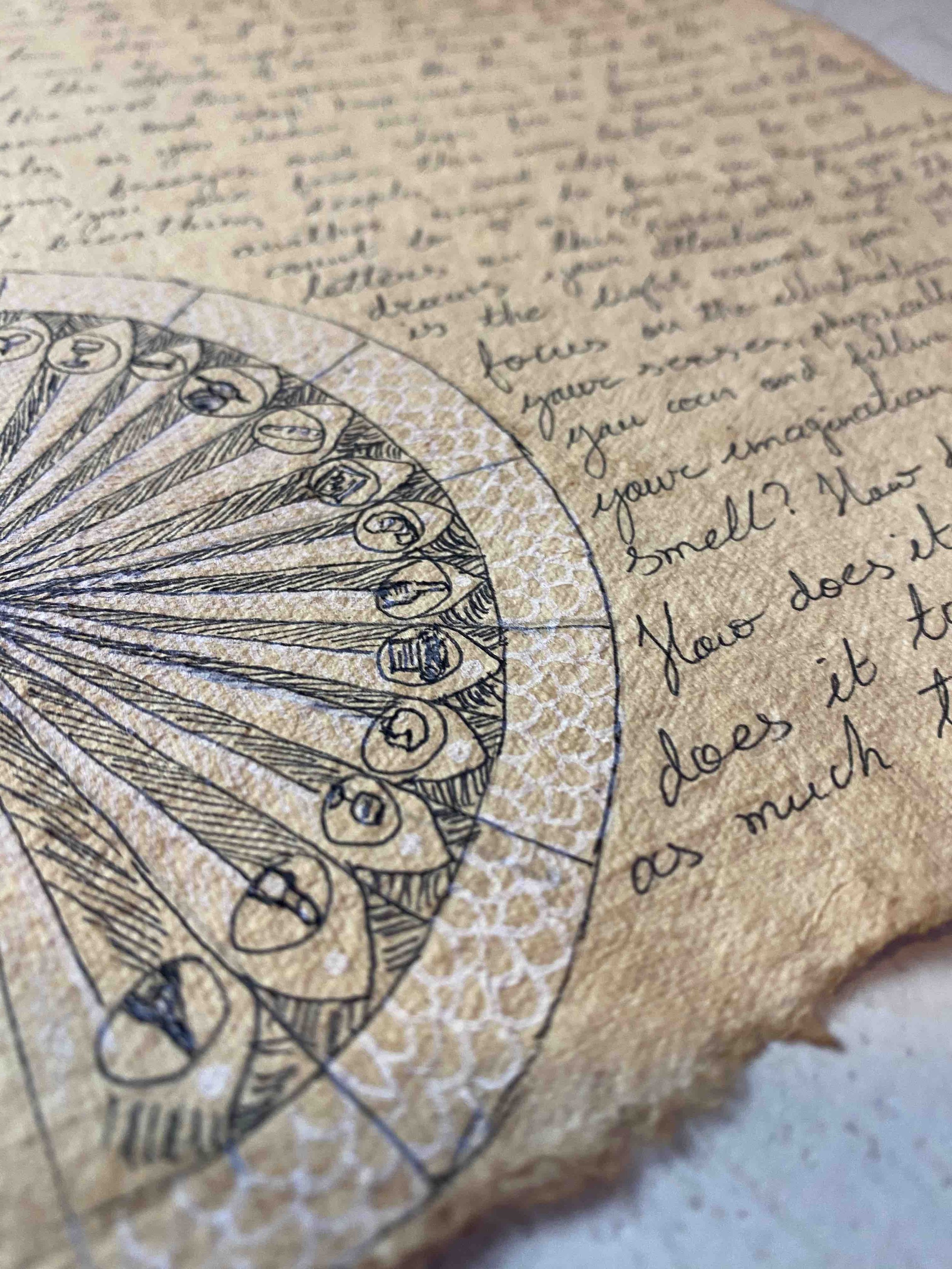 Mesdames Meditation Letter