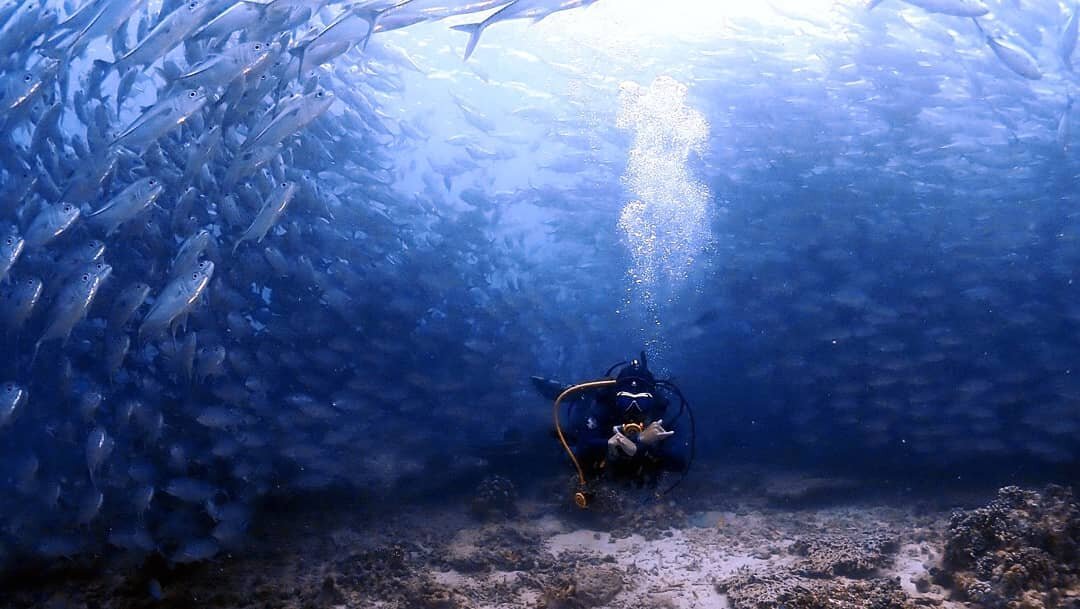 🤙🏻 Never gets boring. 🤙🏻 South Point, Pulau Sipadan

#upe #underpressurreexplorers #southpoint #sipadan #island #semporna #sabah #malaysia #scuba #diving #jack #storm #padi #awesome #nevergetsold #alldayeveryday