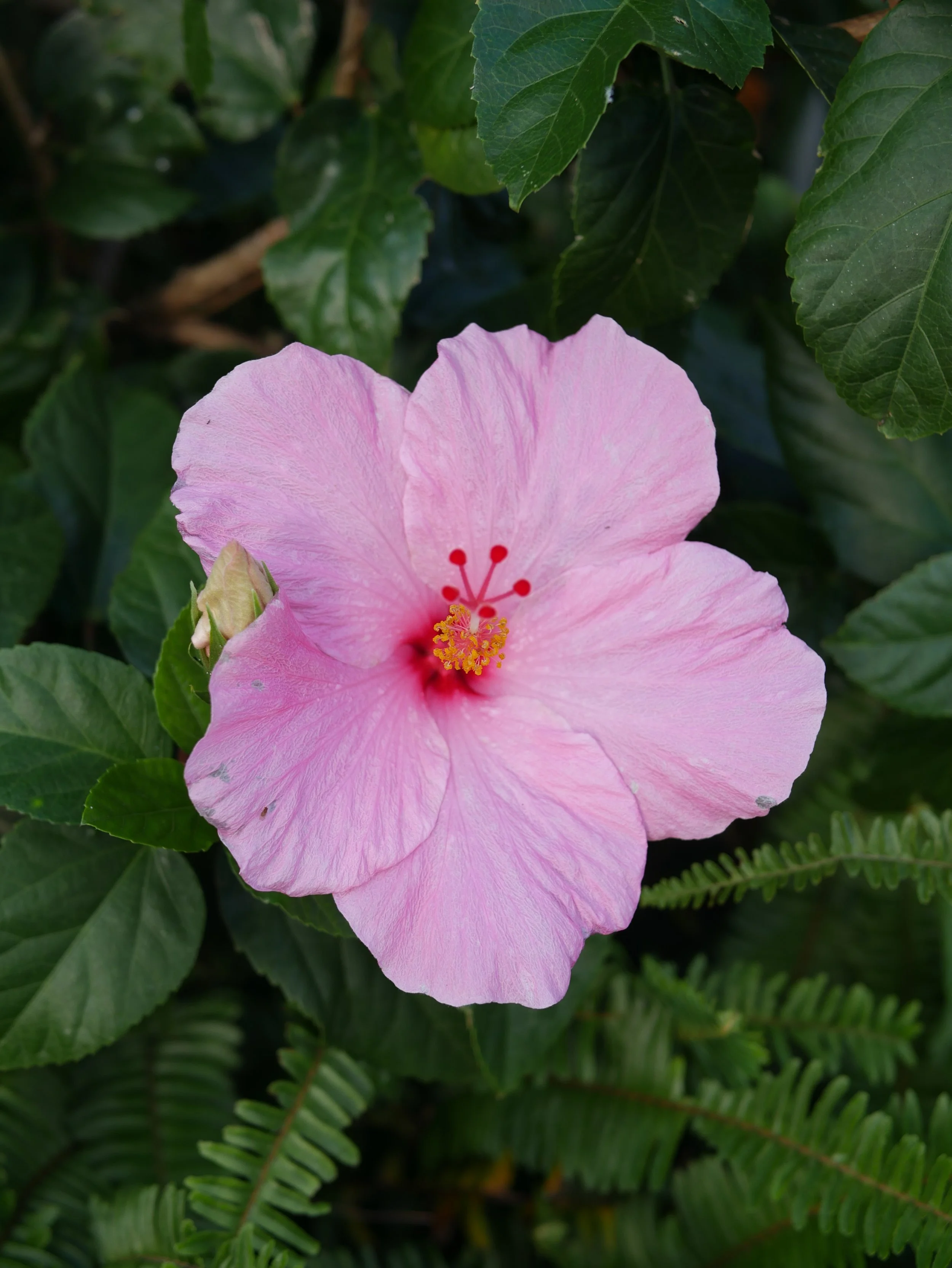 2025 Watchman Newsletter Compilation